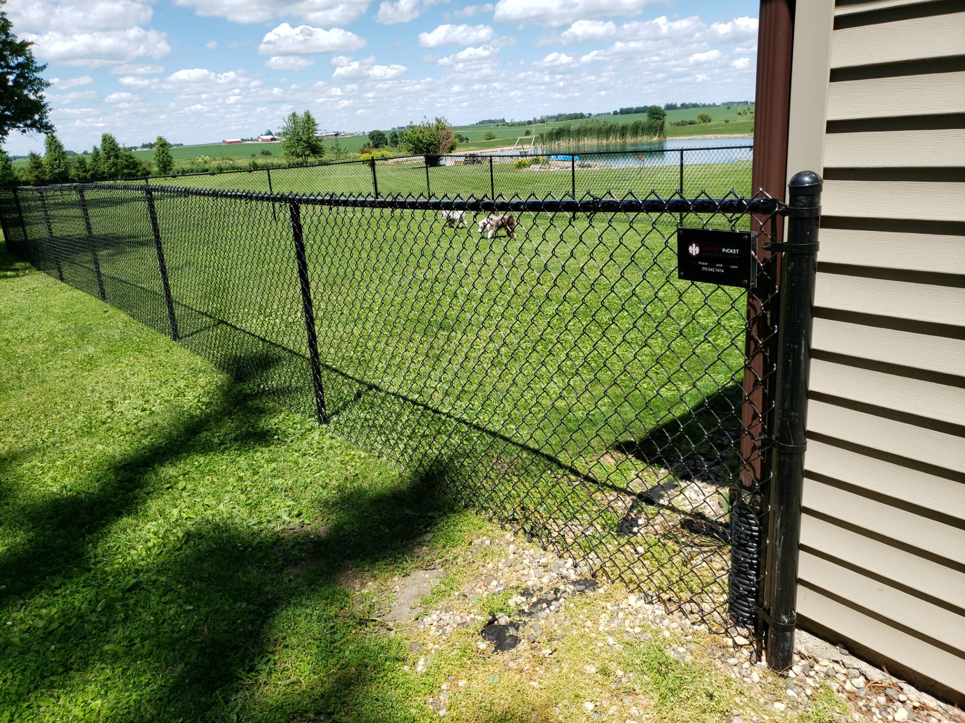 Residential Black Vinyl-Coated Chain Link Fence Installation in Bristow by Perfect Picket Fence and Stain
