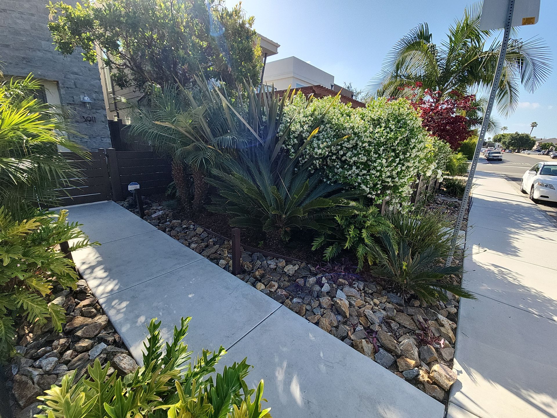 Modern Residential Landscaping in San Diego by Yard Techs