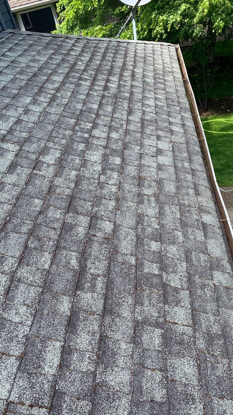 Softwashed in many Years back, and organic regrowth significant by DawnSky LLC