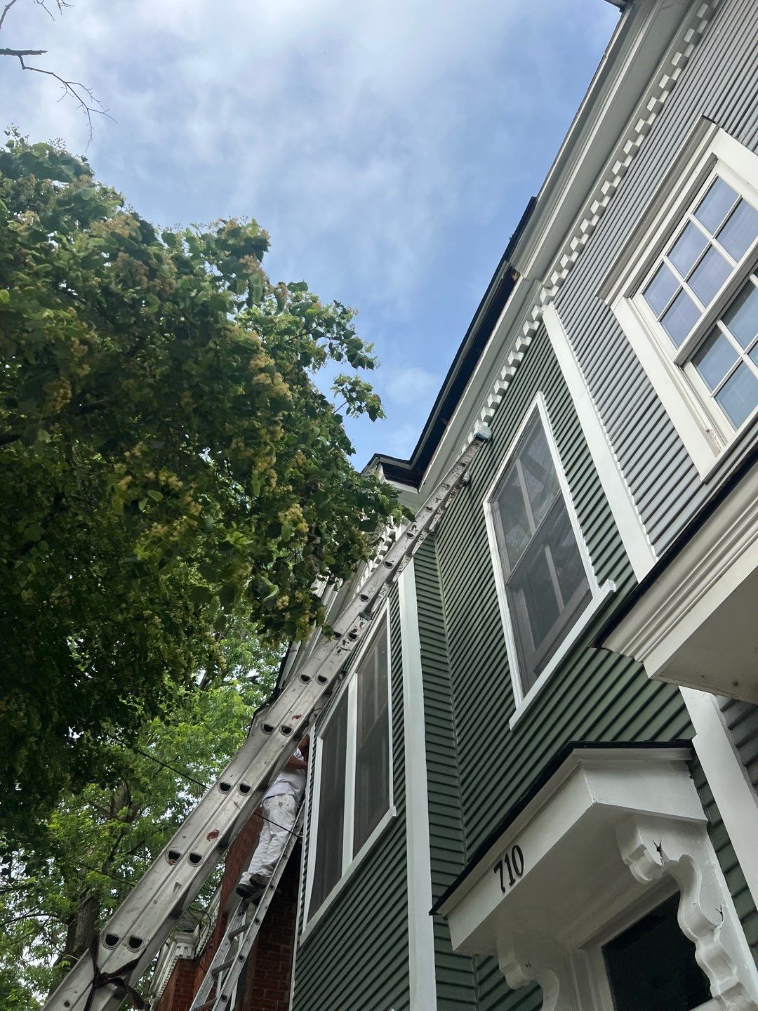 Alexandria: Siding Replacement with Solid Pine Wood Lap Siding by RM Banning, Inc.