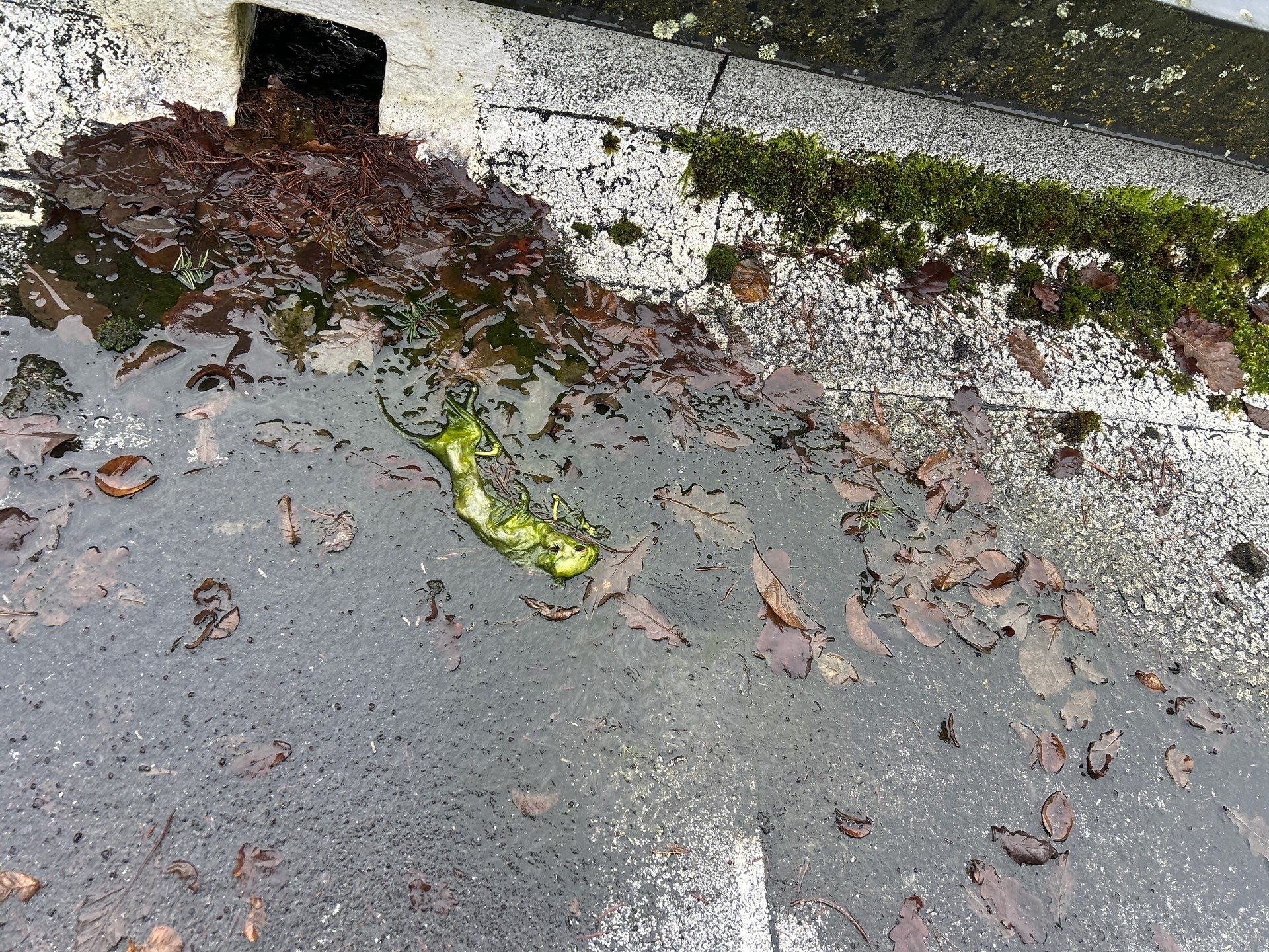 Project in Kirkland by Connolly Construction Company