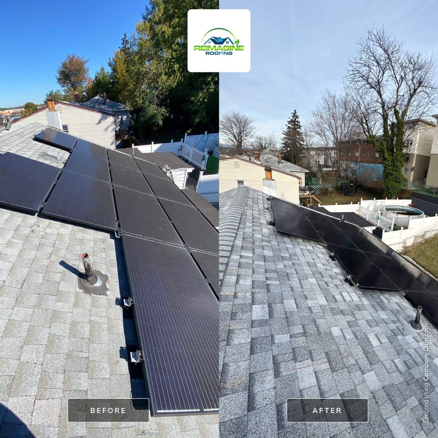 Silver Birch Shingles by Reimagine Roofing