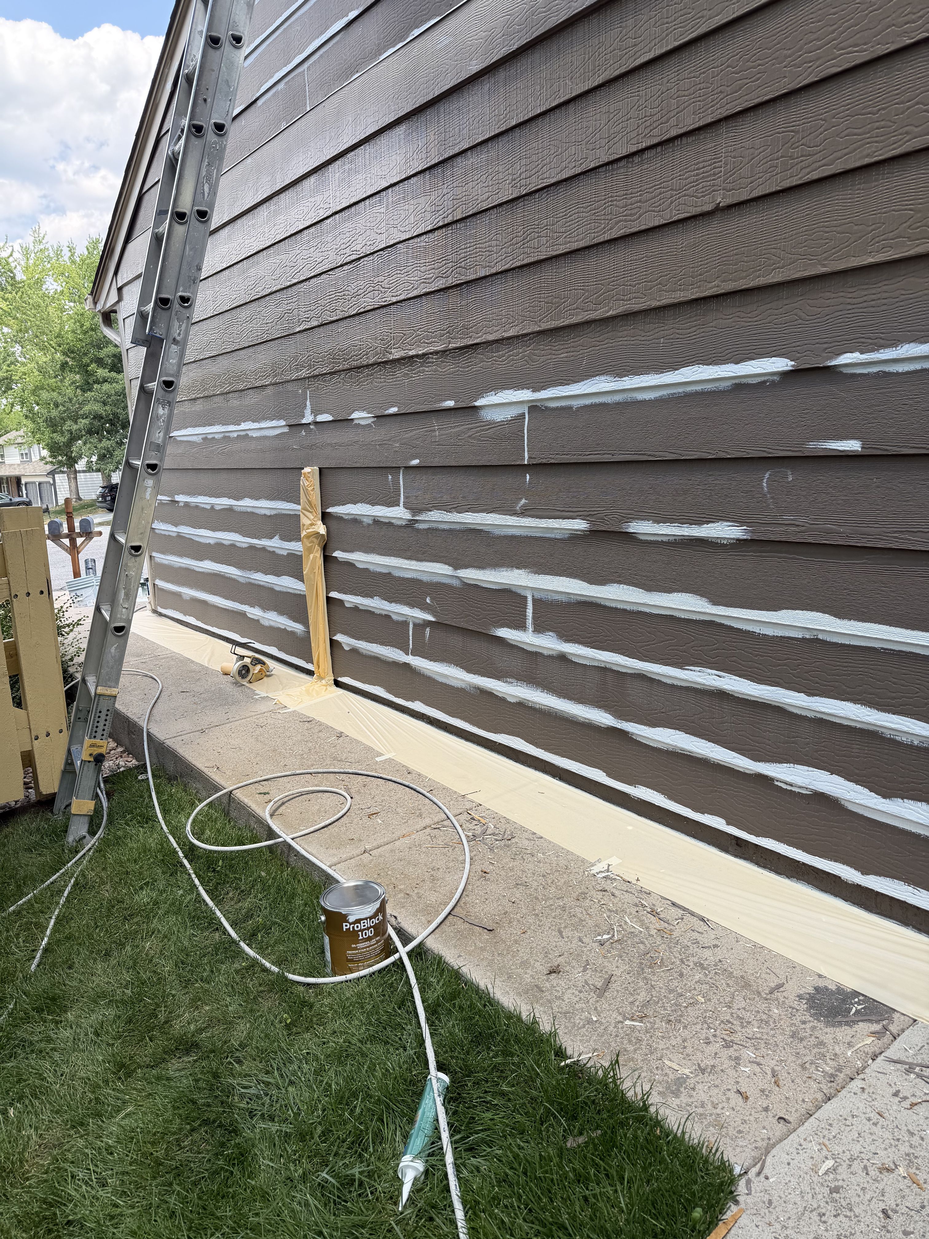 Exterior Repaint in Centennial by Accent Painting