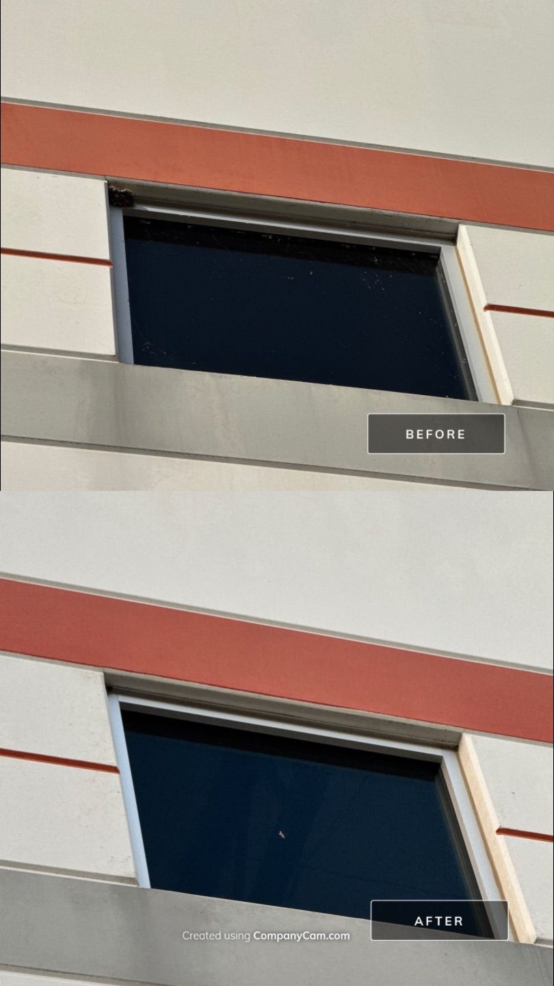 Project in Elgin by Simmons Power & Soft Washing