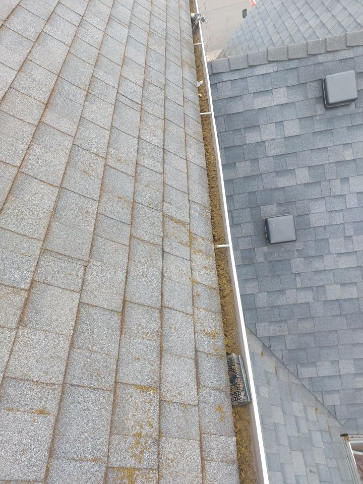 Roof Cleaning  using Moss Treatment  by BEST Roofing & Waterproofing
