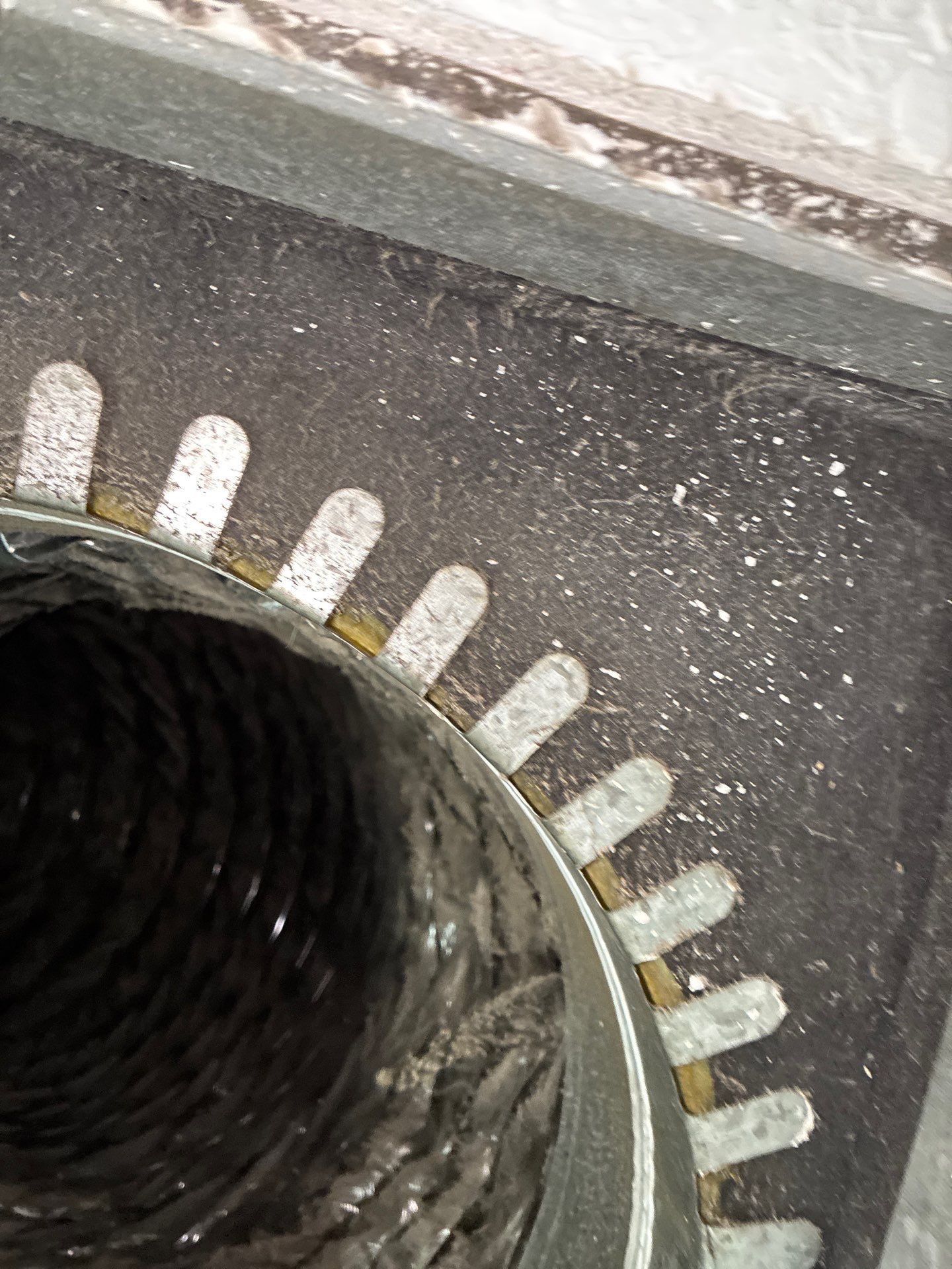 Air Duct Cleaning in Groveland by Hygienic Air, Inc