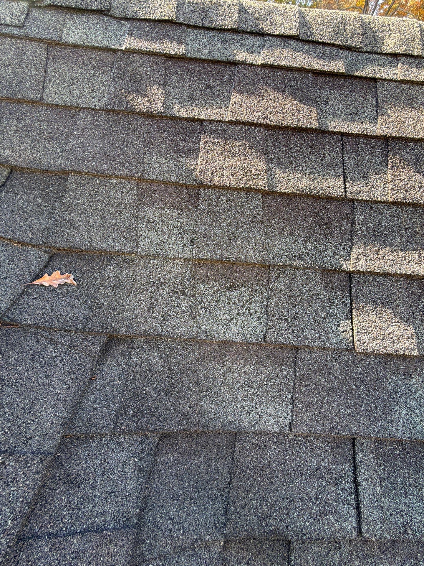 The Wilkins by United Contracting and Roofing