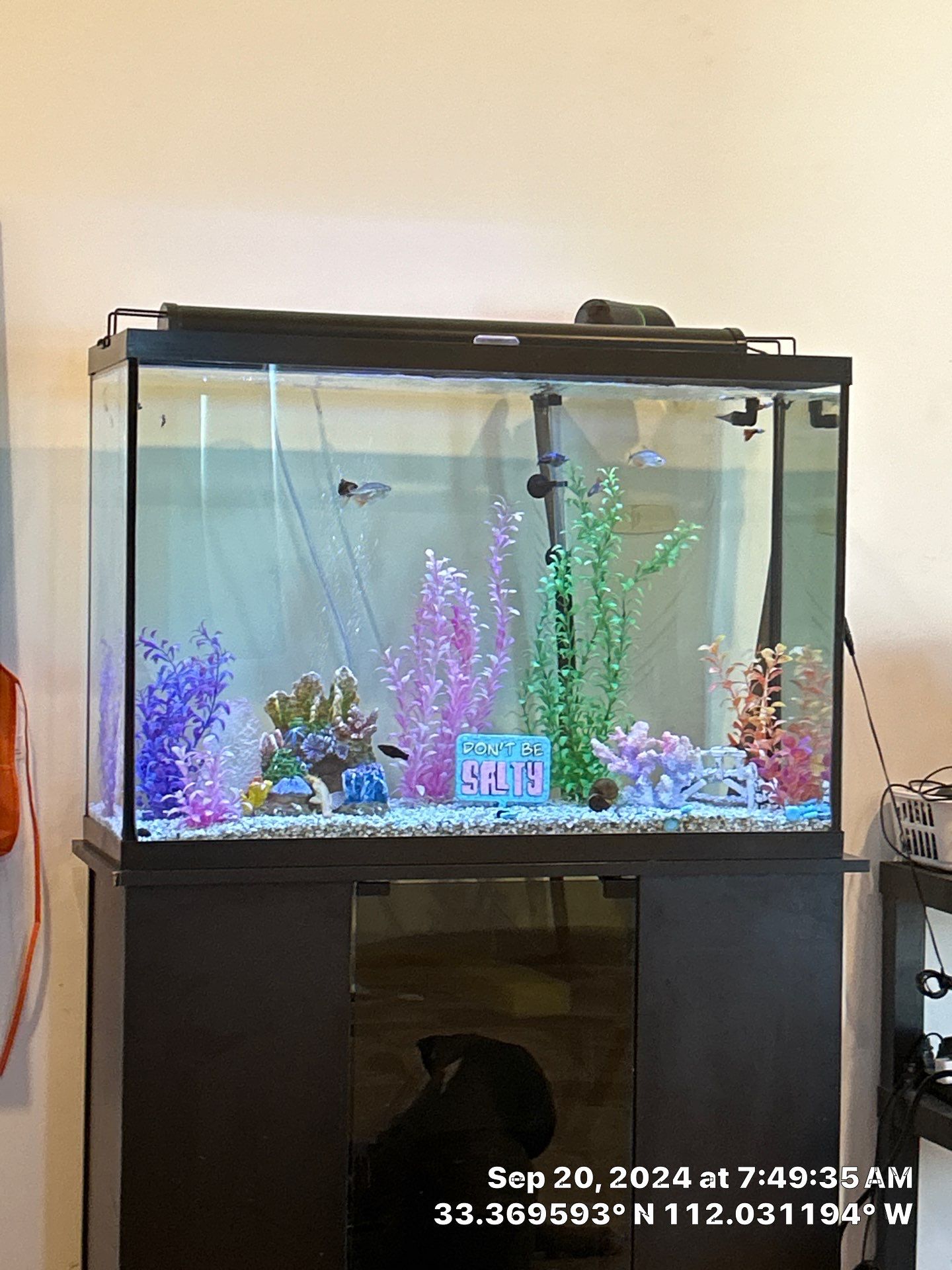 2-Day remodel, record time  by CompanyCam Sales Demo