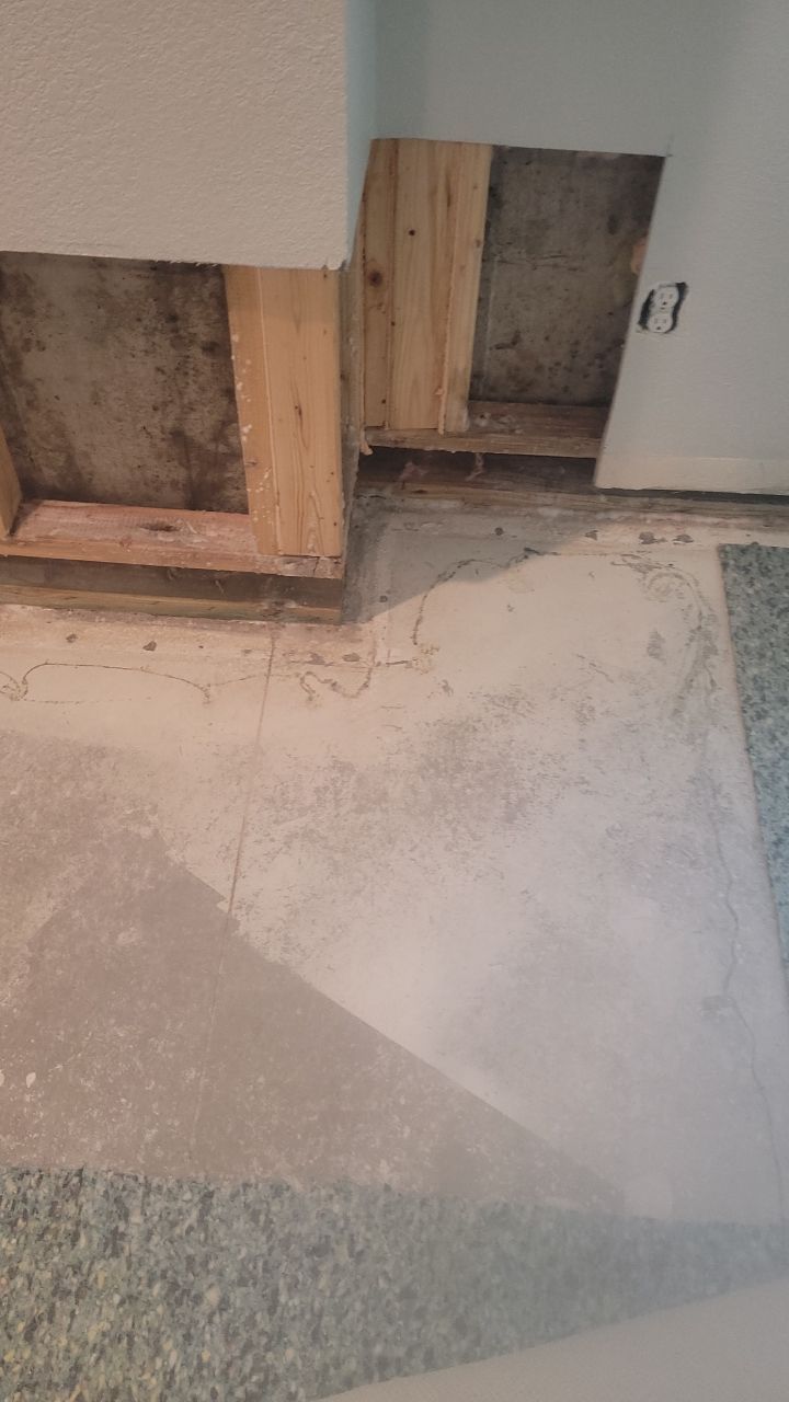 Mold Remediation  by Accountable Home Services