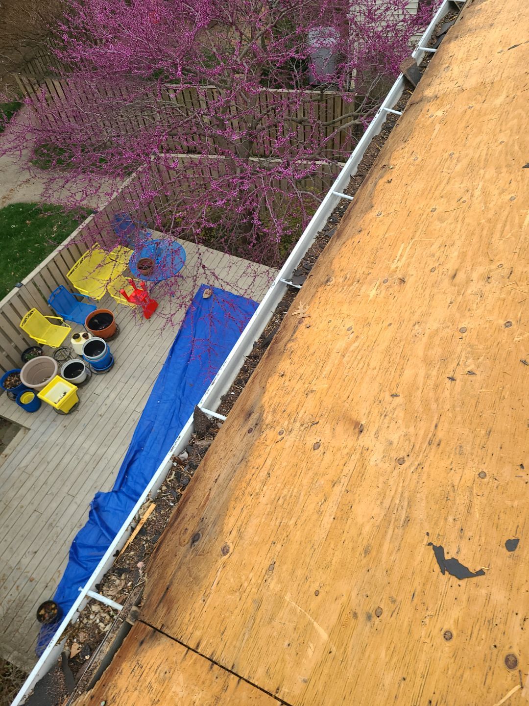 Springfield: Residential Roof Replacement with CertainTeed Landmark Pro in Max Def Red Oak by RM Banning, Inc.