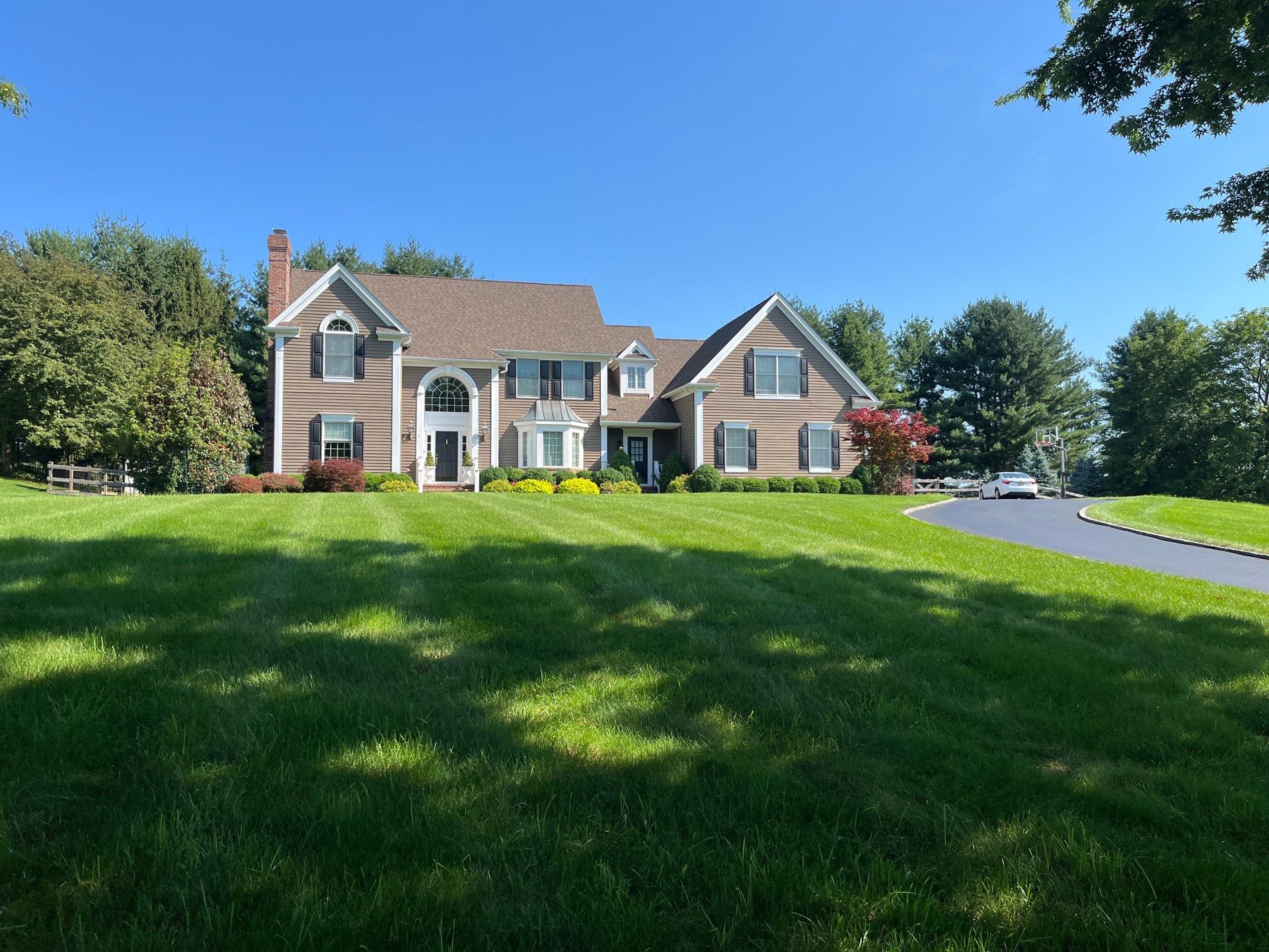 Comprehensive Ornamental Shrub Care in Peapack by Ants Plants
