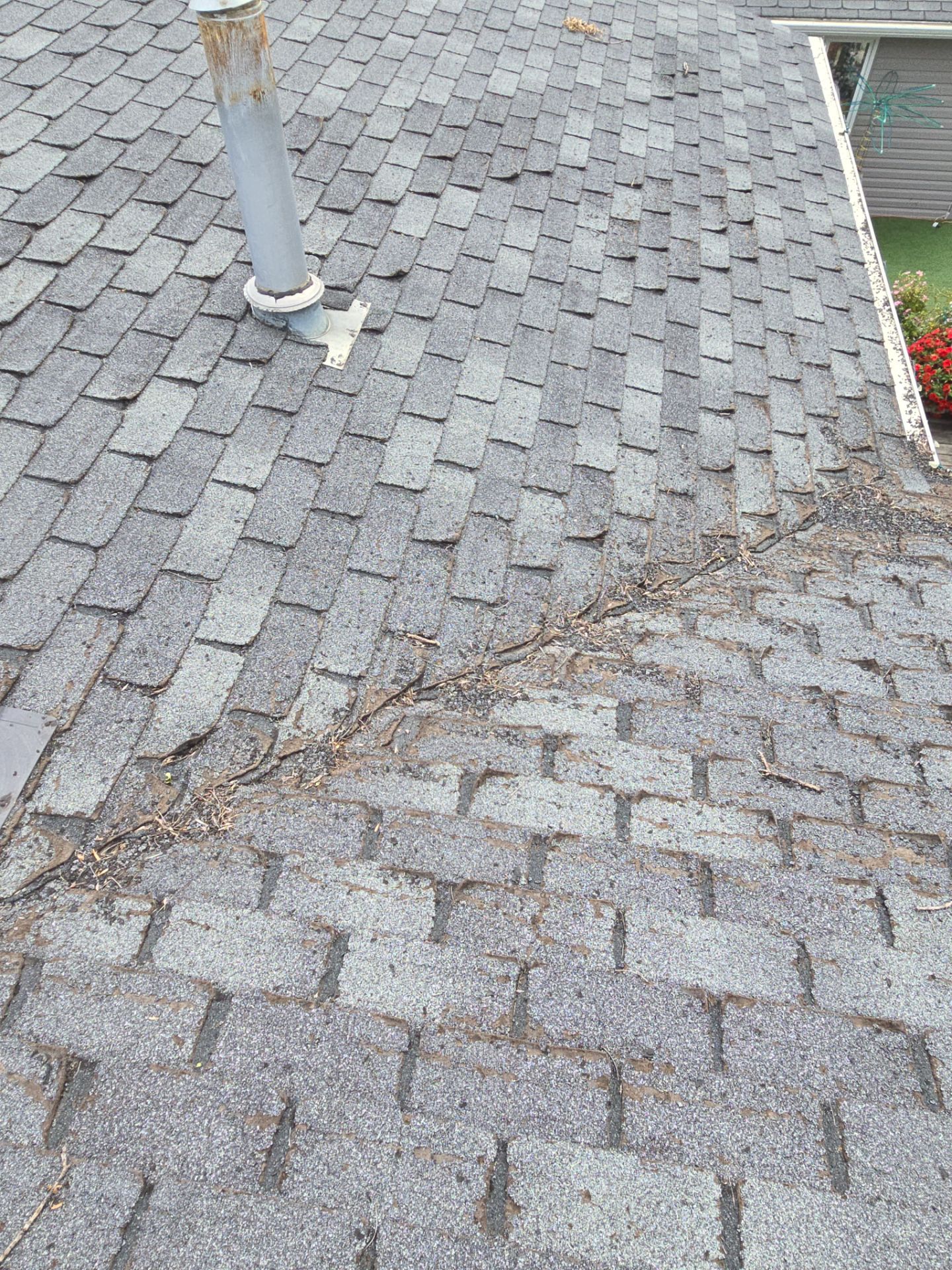 Project in Camrose by ADL Roof Revival