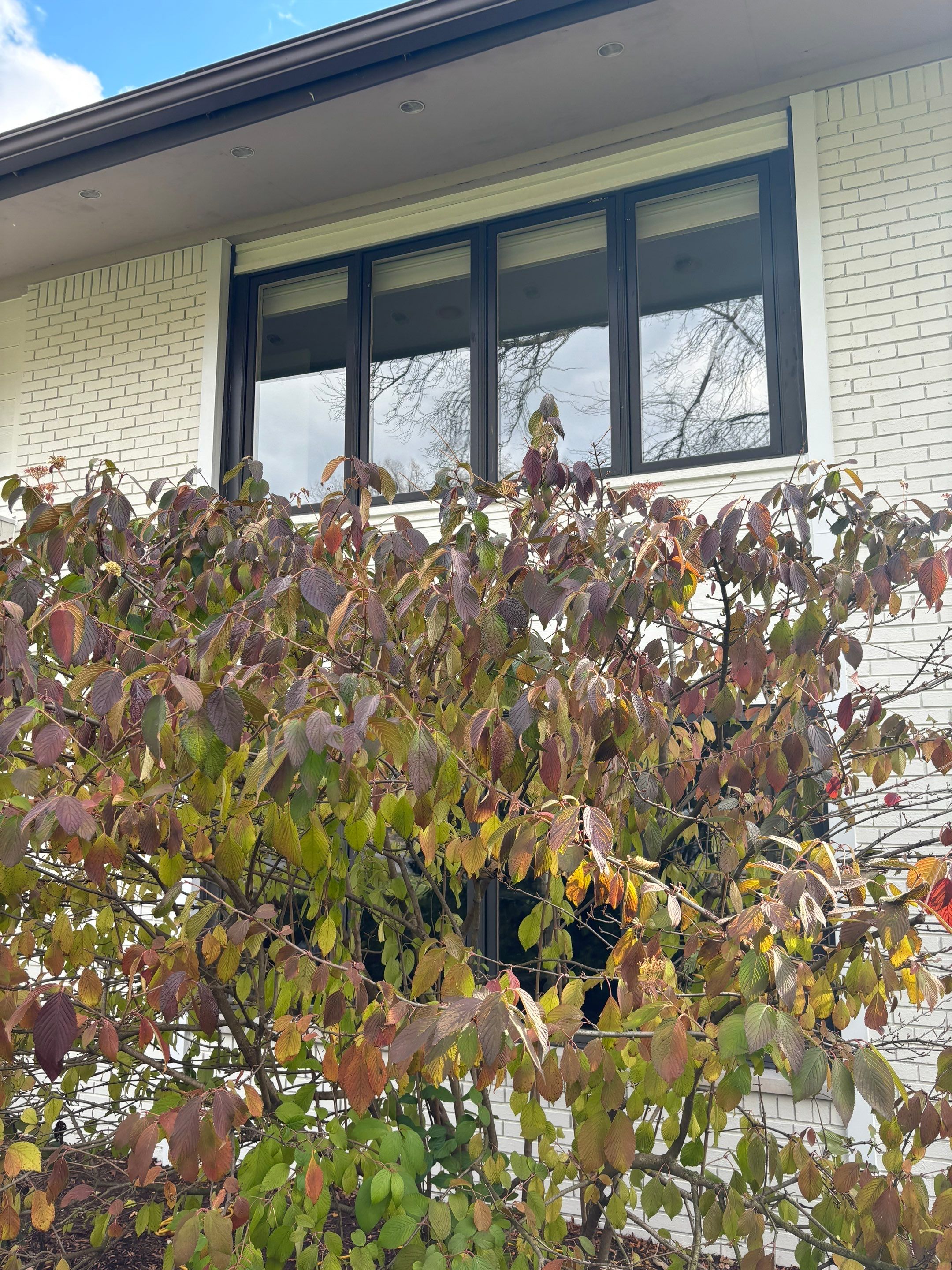 Siding Replacement using James Hardie Siding by 180 Contractors