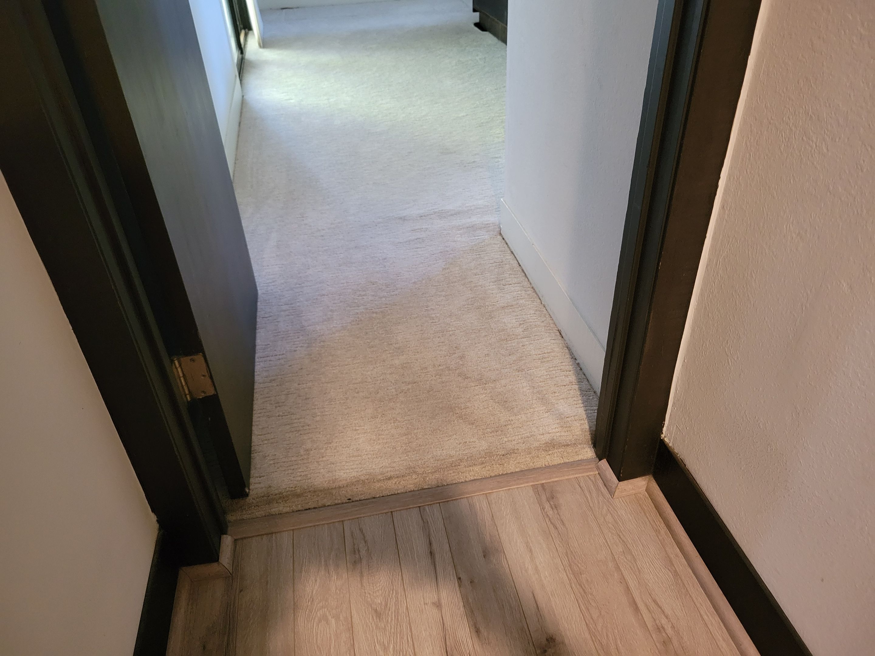 Re-stretching a Failed Carpet Installation by Ardent Carpet Restore LLC