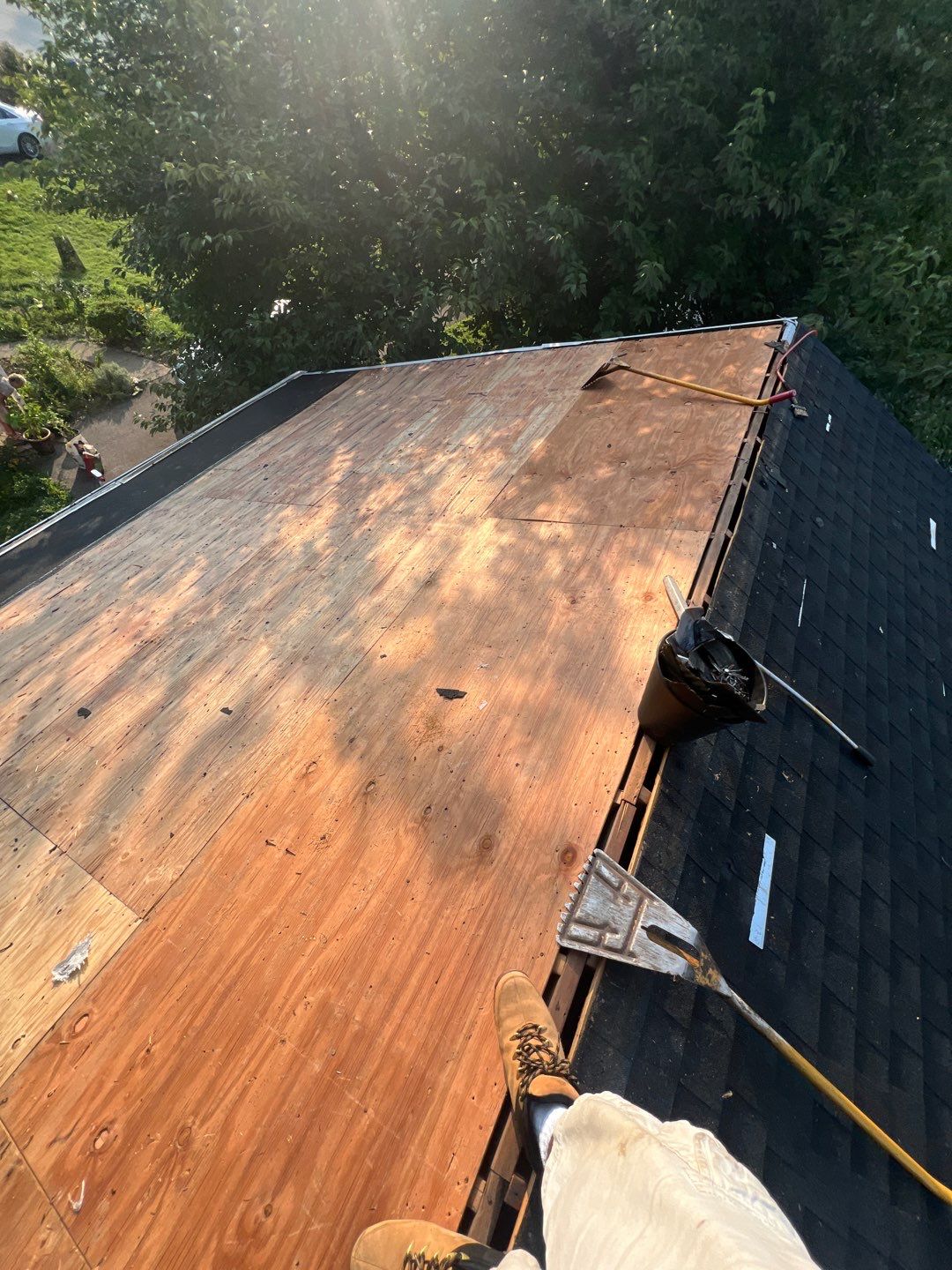 Silver Birch Shingles by Reimagine Roofing