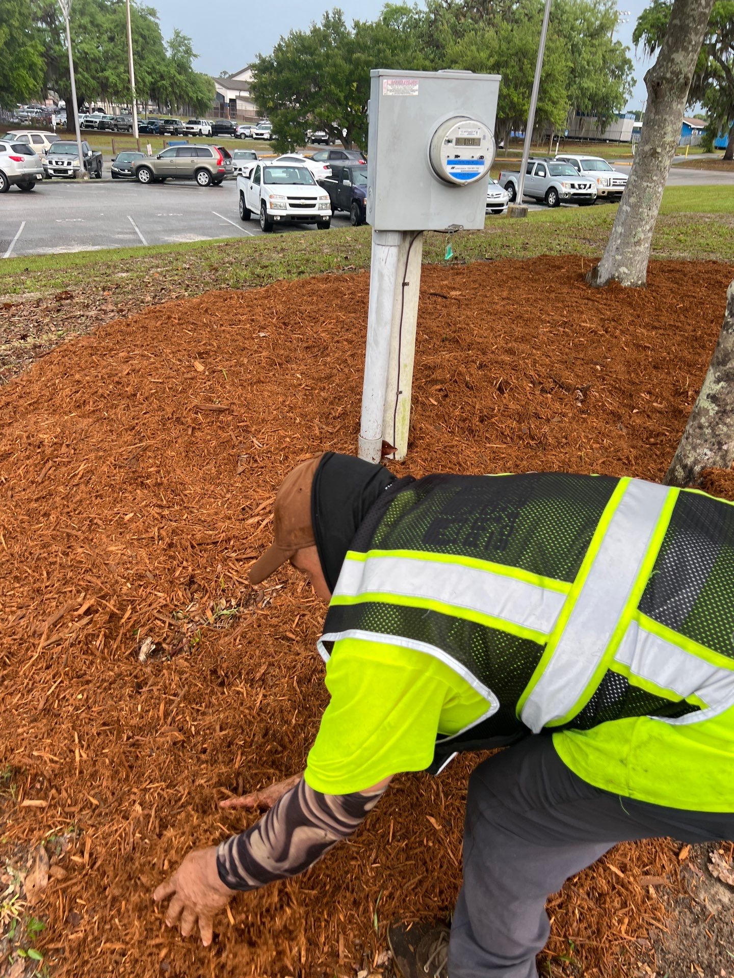 Landscape Install | Keystone Heights HS by ProGreen Services