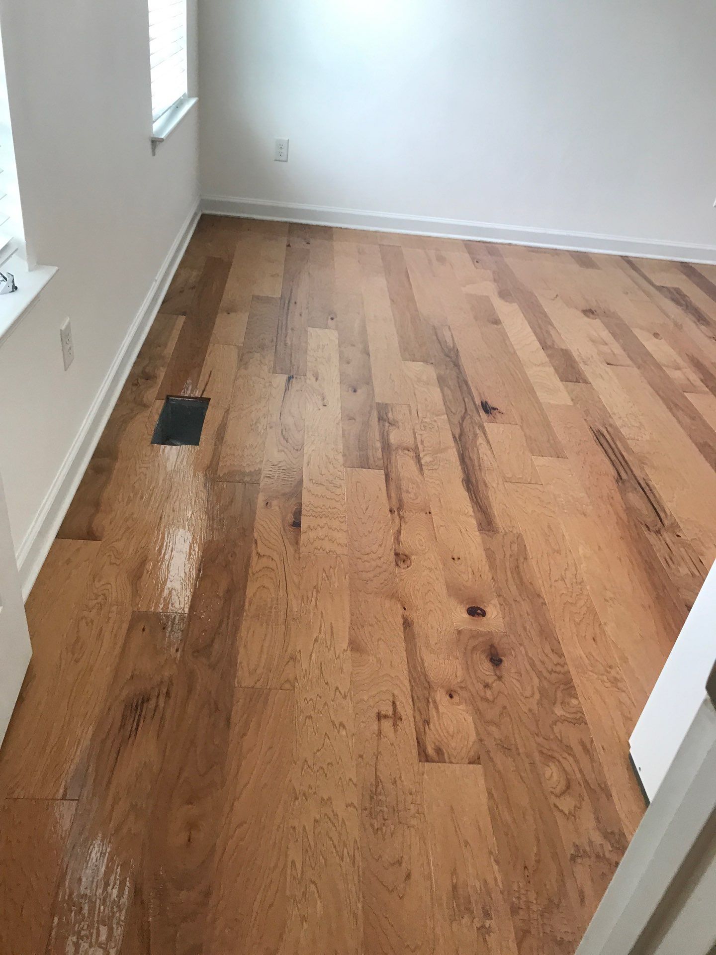 Hardwood Renewal by Monster Clean