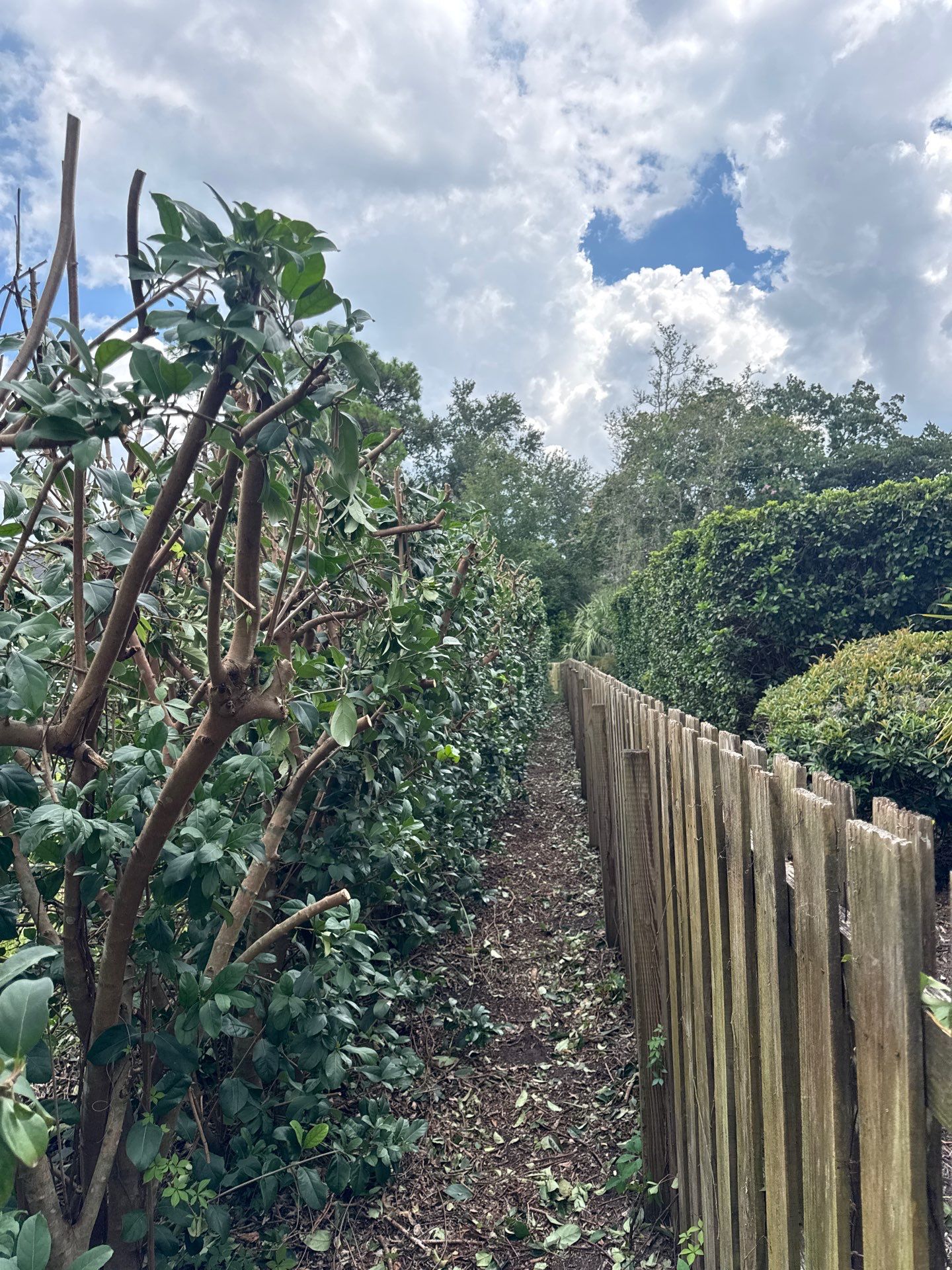 Deerwood Resident | Shrub Trimming by ProGreen Services