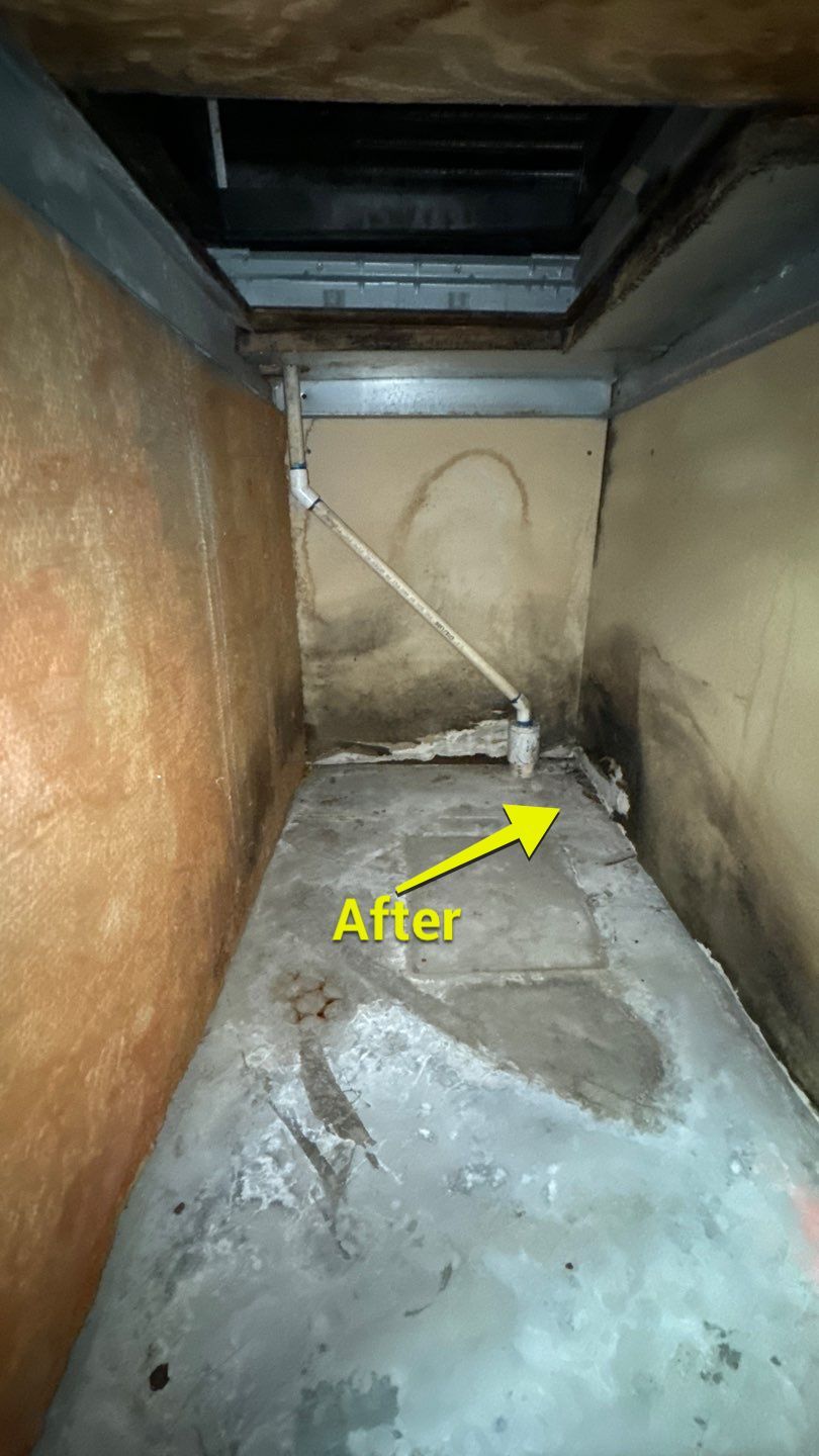 Commercial Air Duct Cleaning in Tavares by Hygienic Air, Inc