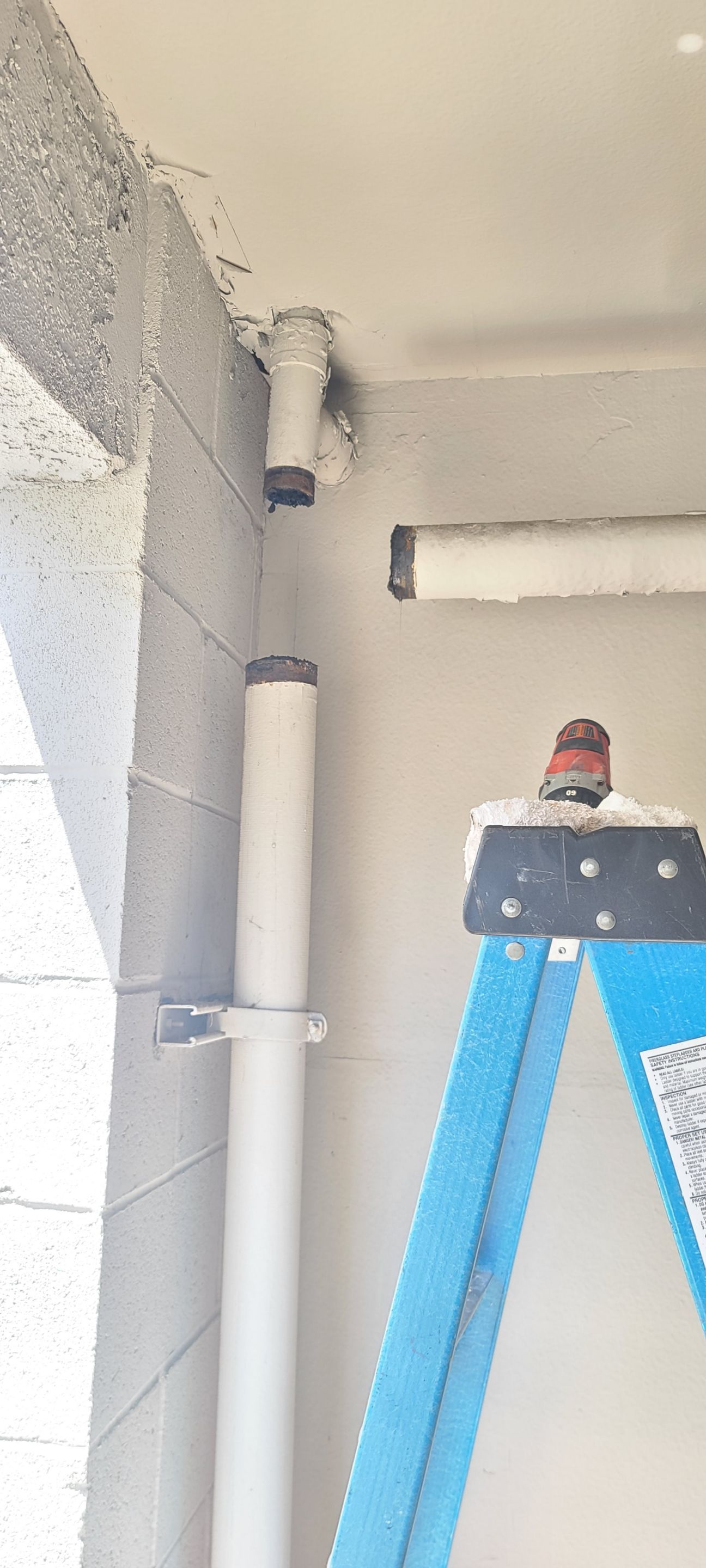 Rotted Drain Line  by Professional Plumbing Inc 