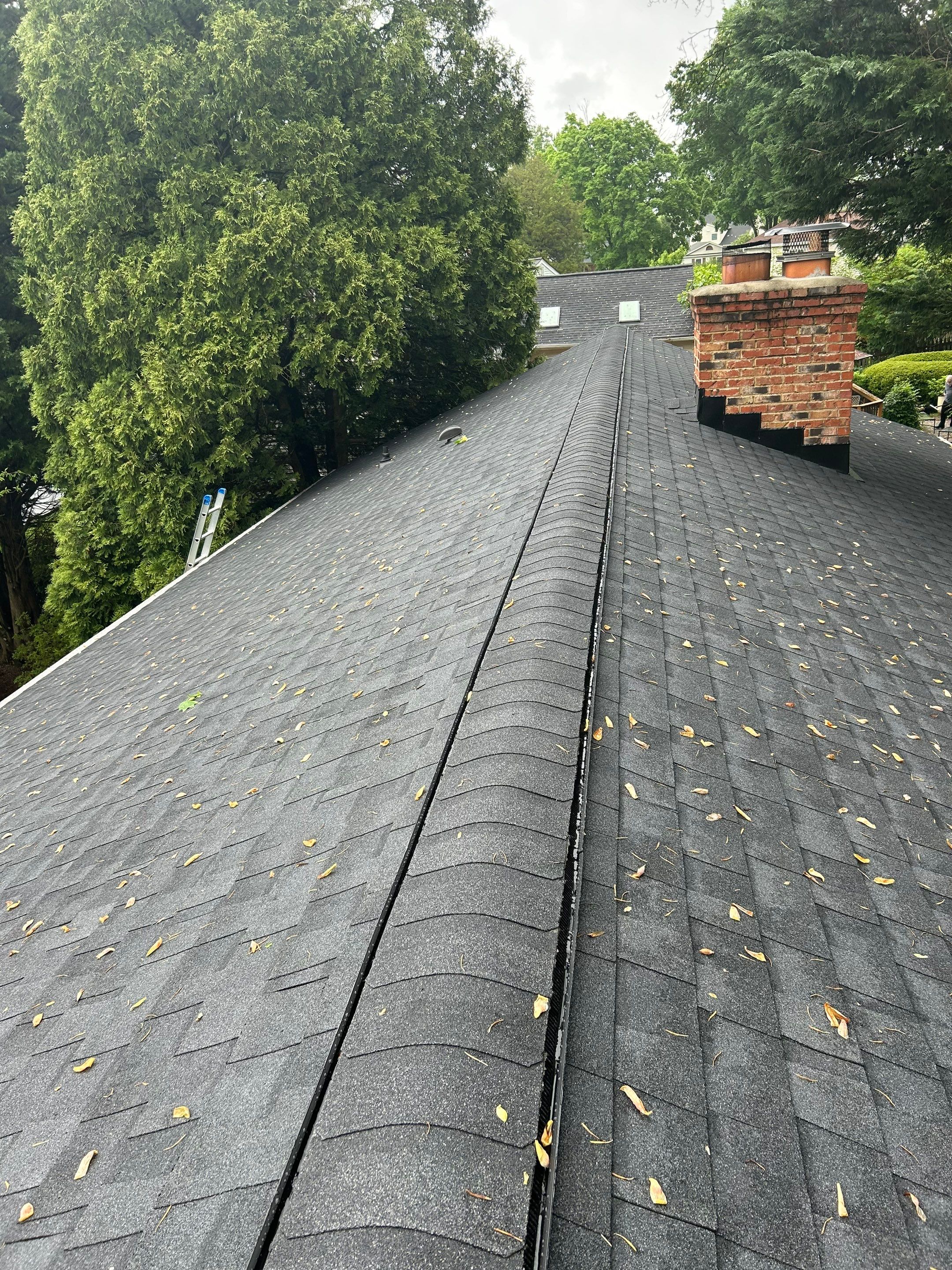 Burke: CertainTeed Landmark Designer Shingles in Moire Black by RM Banning, Inc.