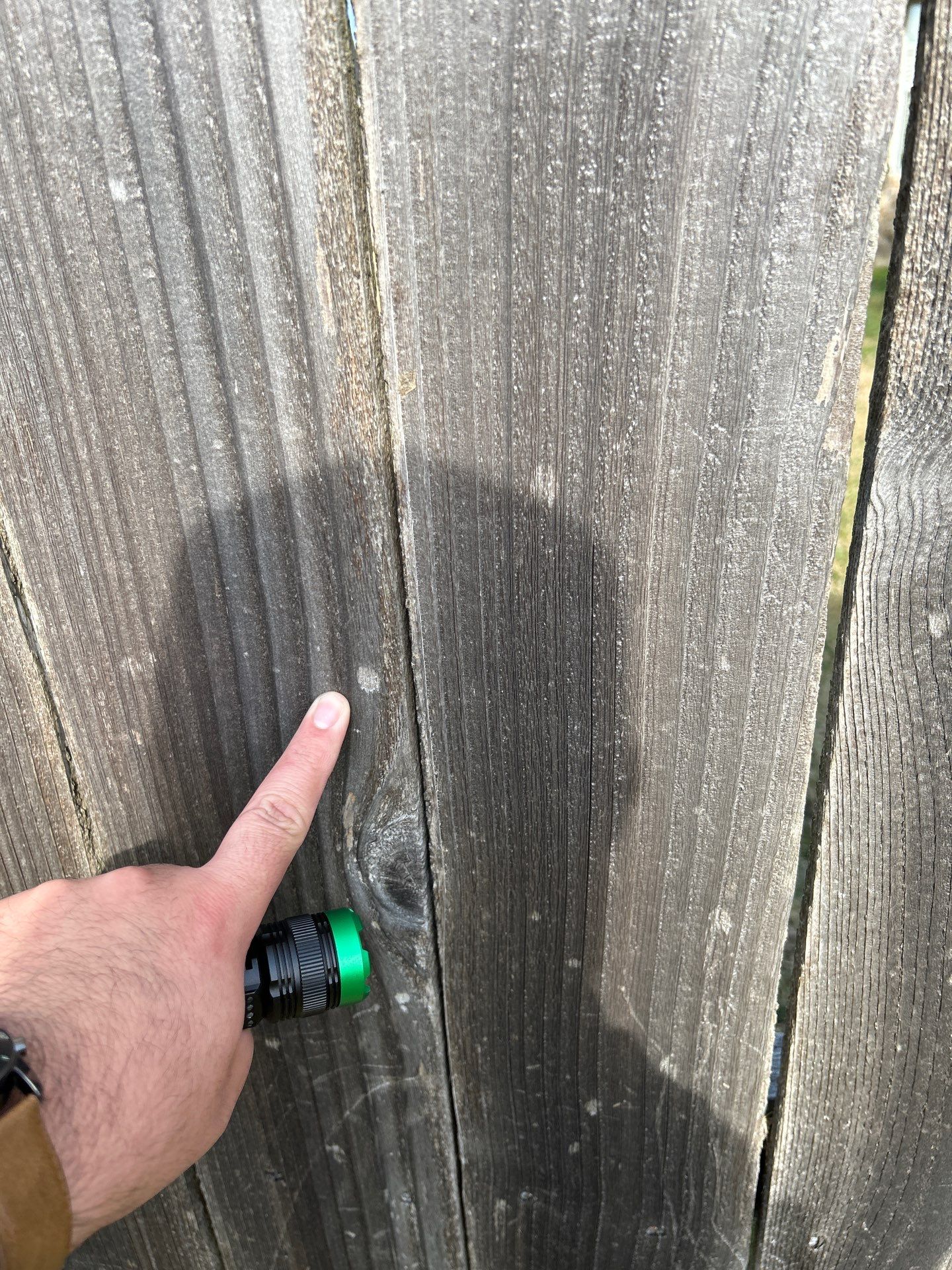 MARTHA C. by Boss Hogg Roofing