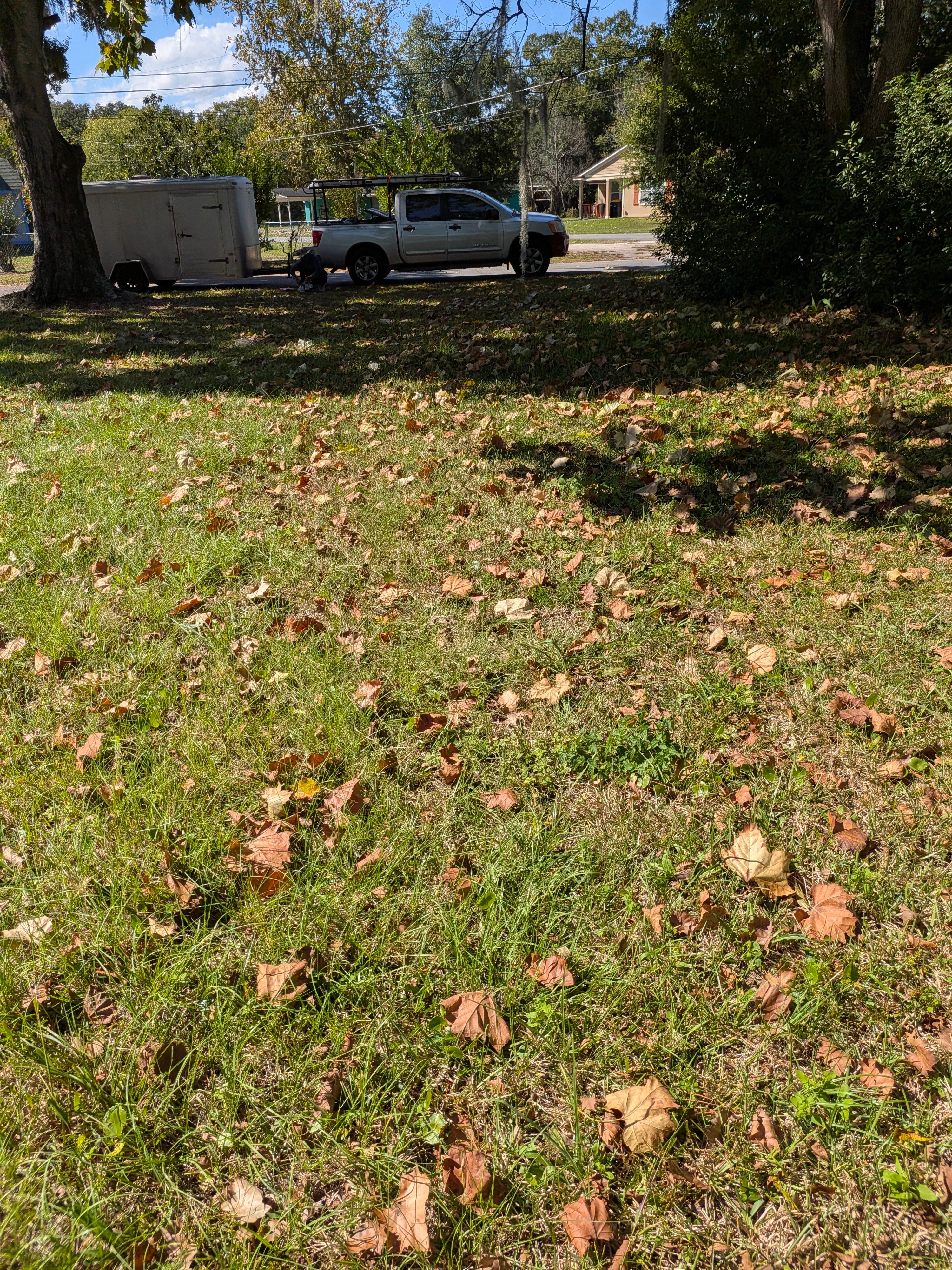 Vacant Lot Cleanup & Ongoing Maintenance — Northside Jacksonville (32219) by Harmoni Home Services