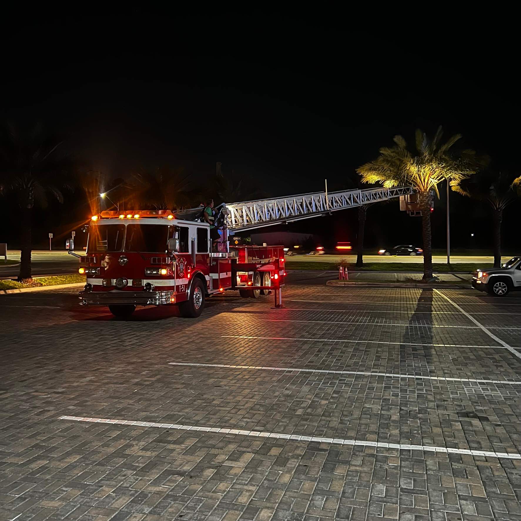 Tree Trimming | Roosevelt Square by ProGreen Services