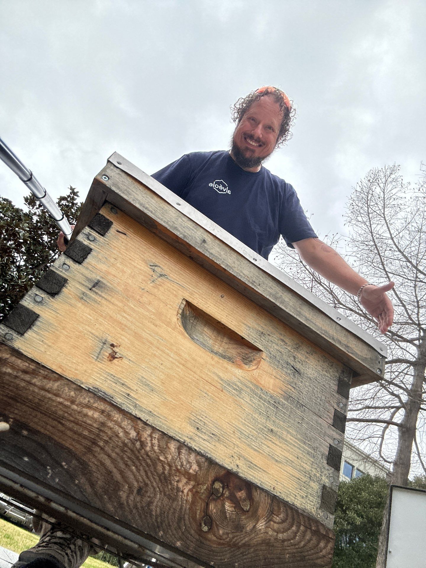 Platform Precious Population by Rockwall Honey Bee Company