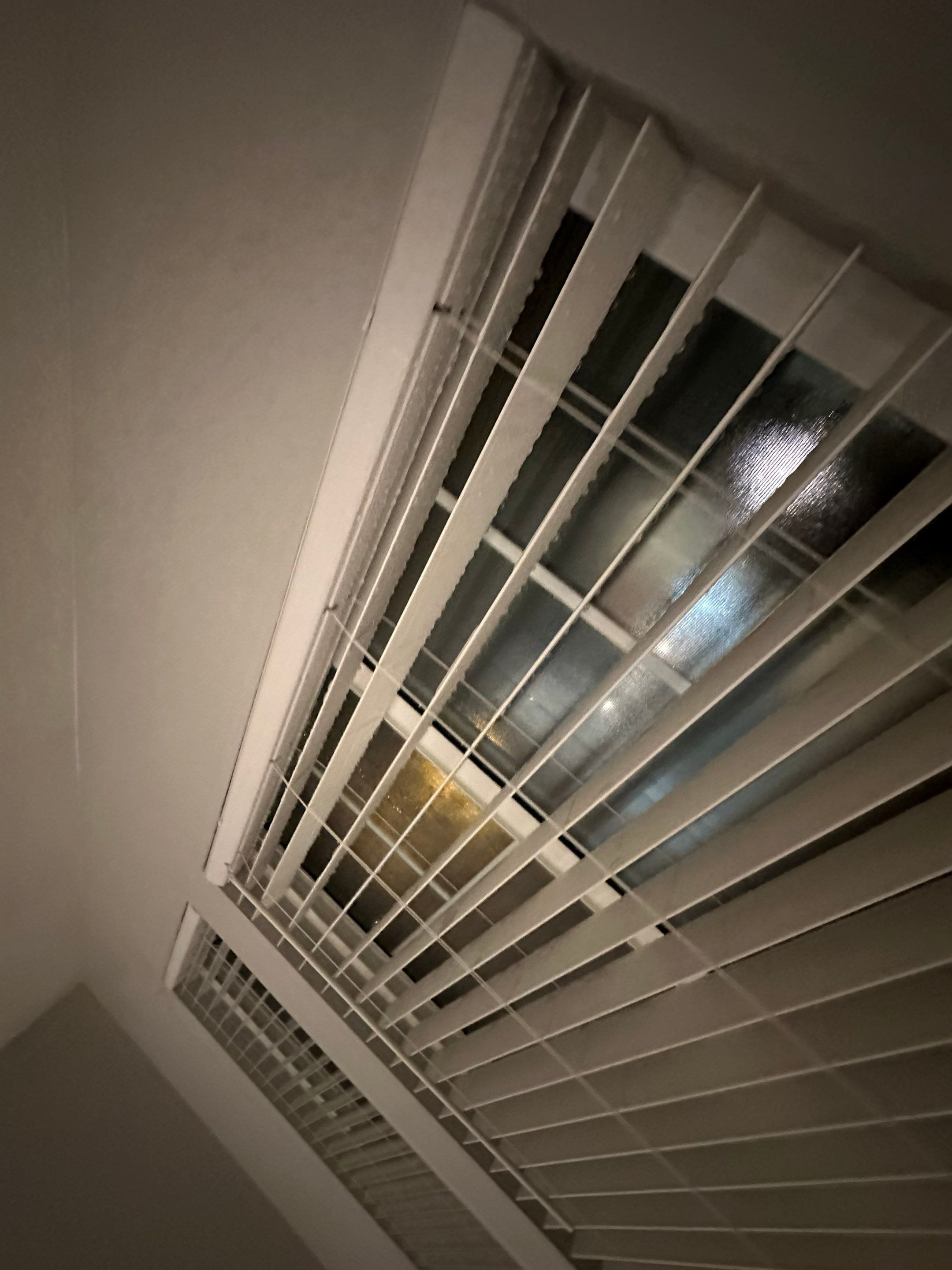 Water Damage in Highlands Ranch by Alpha Restoration 