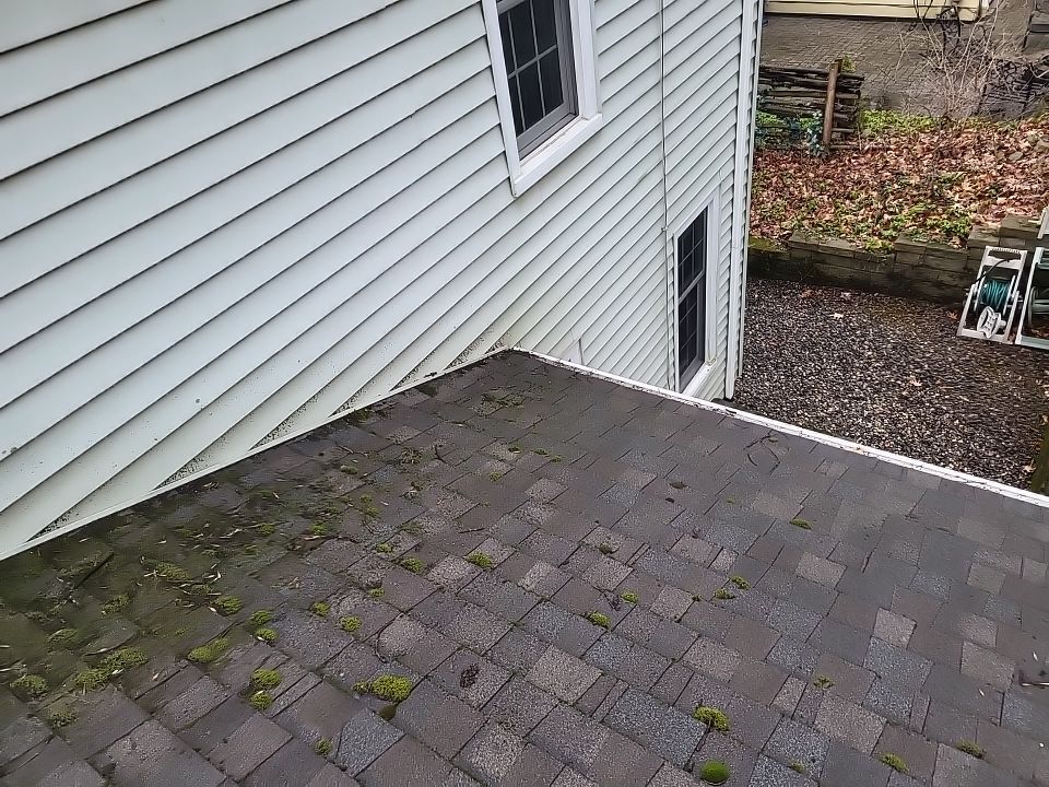 ATLAS PINNACLE COLOR: HEARTHSTONE DRIP EDGE: WHITE by Eagle Eye Roofing