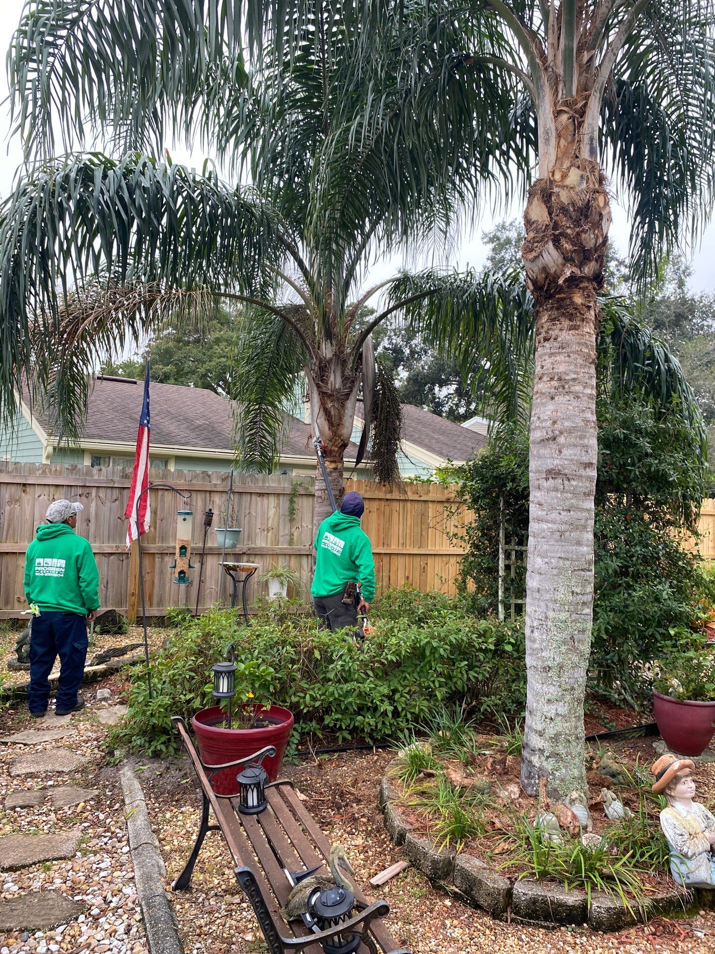 Tree Trimming | Residential by ProGreen Services