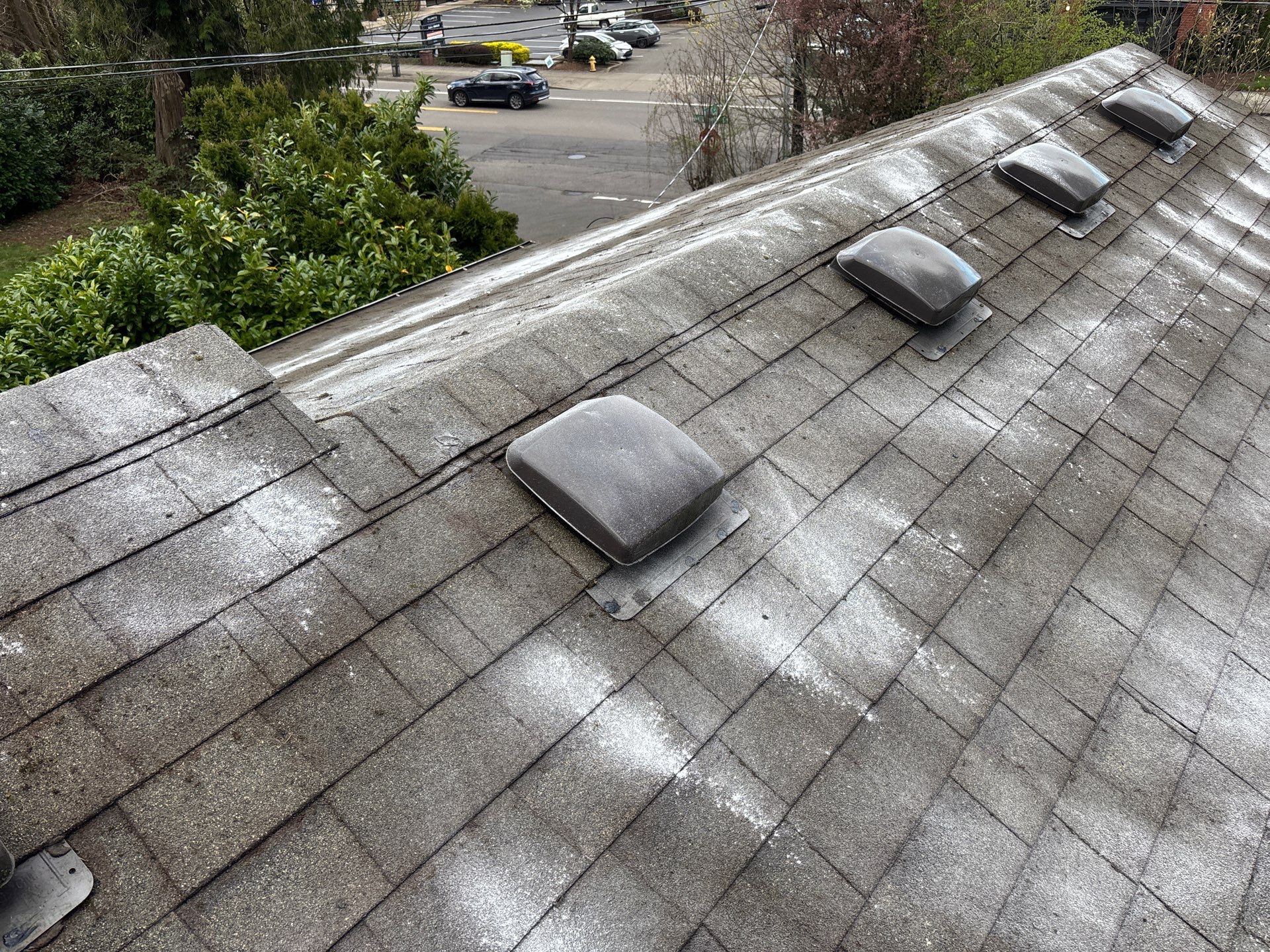 Roof Maintenance in West Linn by Prodigy Roof Solutions