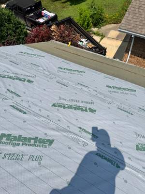 Turtle Shell gutter protection installation in Naperville, IL 60563, photograph 39