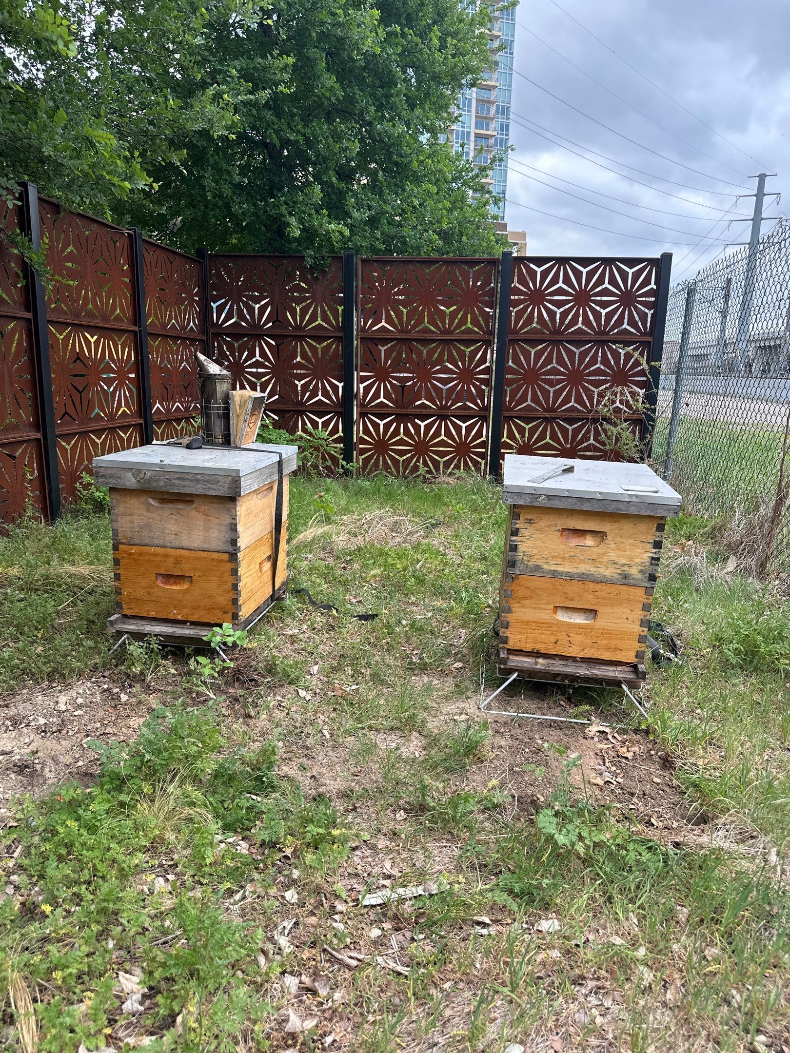 Apartments on the Trails by Rockwall Honey Bee Company