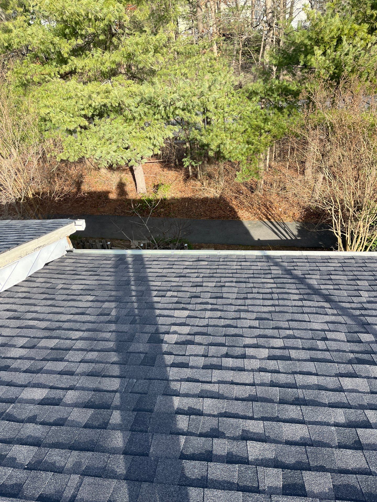 Burke CertainTeed Landmark Pro Roof in Max Def Espresso by RM Banning, Inc.