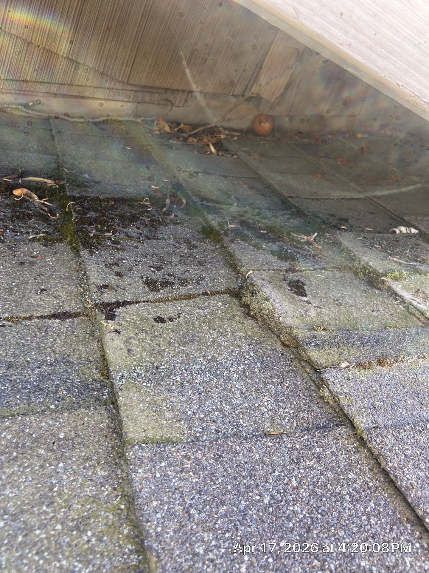 Roof Rejuvenation using Roof Maxx Treatment by Roof Maxx of Folsom