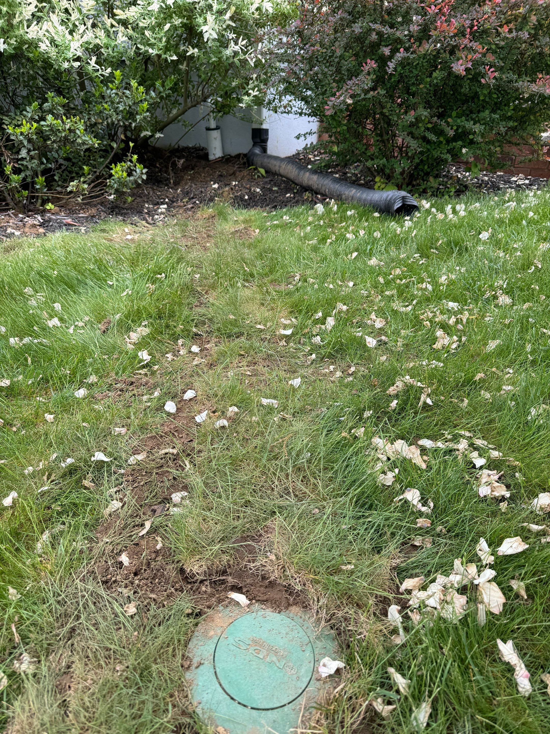 Interior French Drain Boonton NJ by Pure Service Pro, LLC 