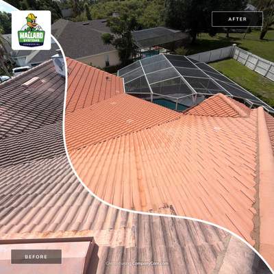 Tile Roof and Screen Enclosure Cleaning