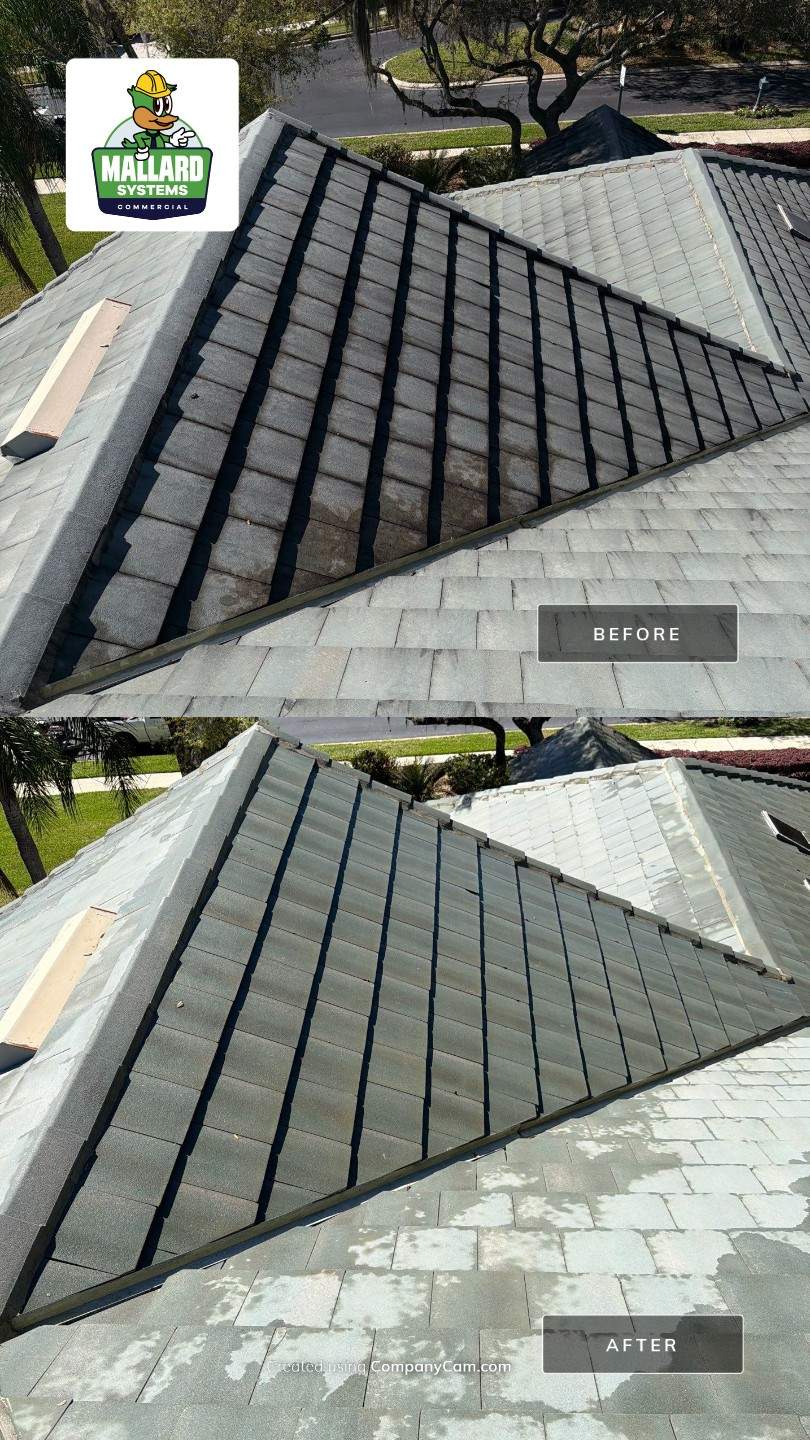 Flat Tile Roof Cleaning by Mallard Systems