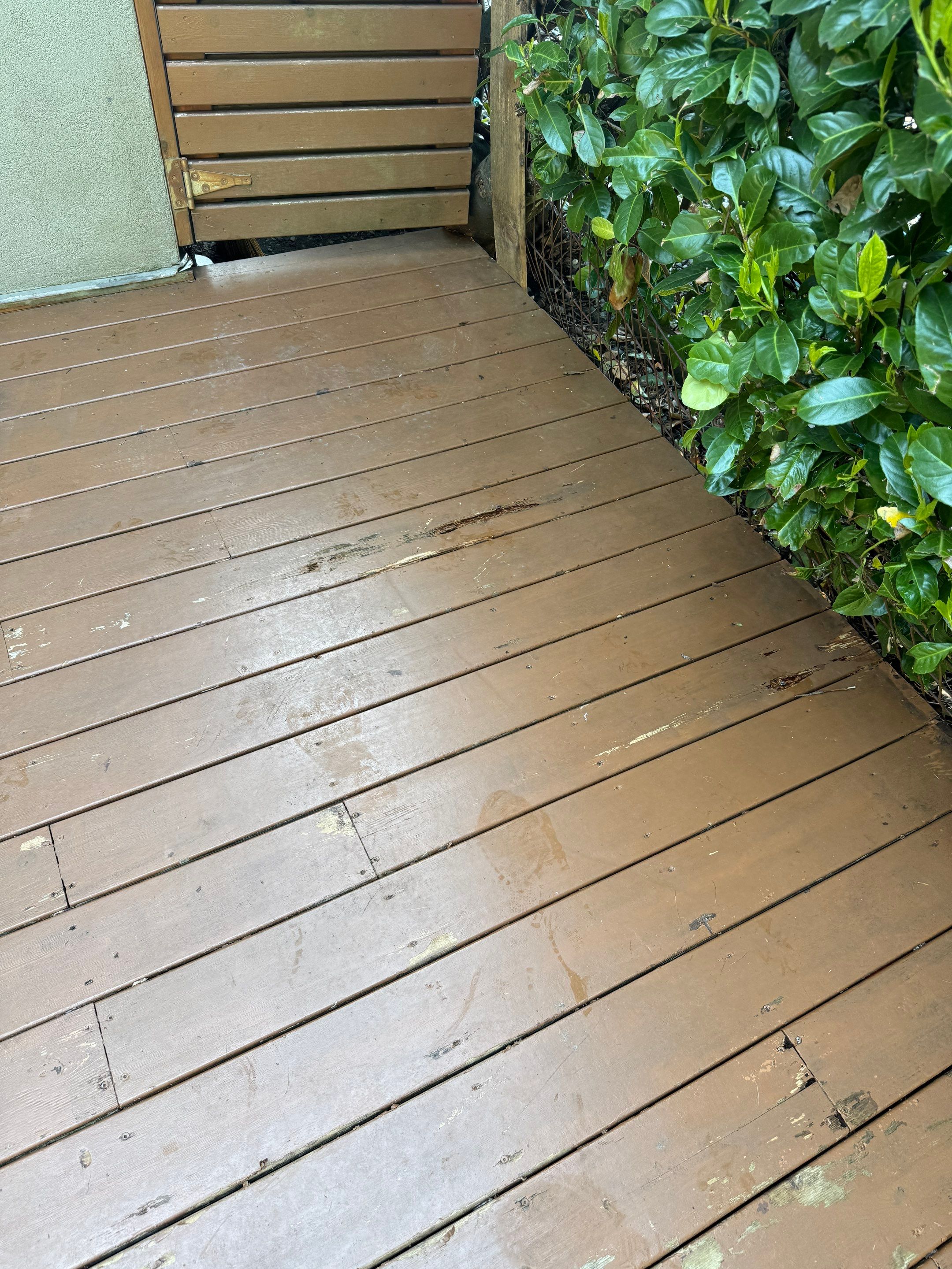 Deck Staining - Seymour Blvd by YVR Construction Group