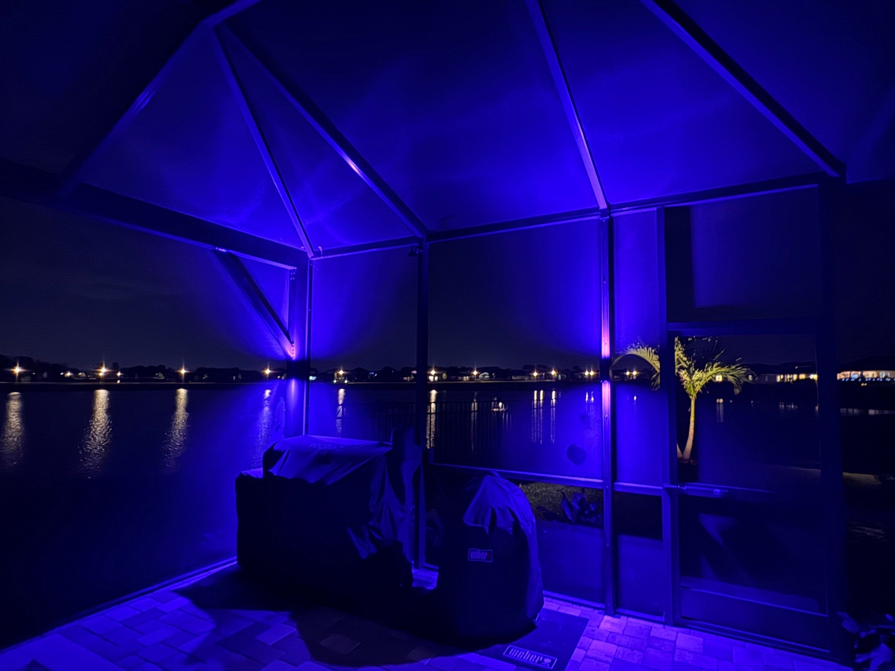 Custom Landscape and Pool Enclosure Lighting Installation in Apollo Beach by Elegant Accents