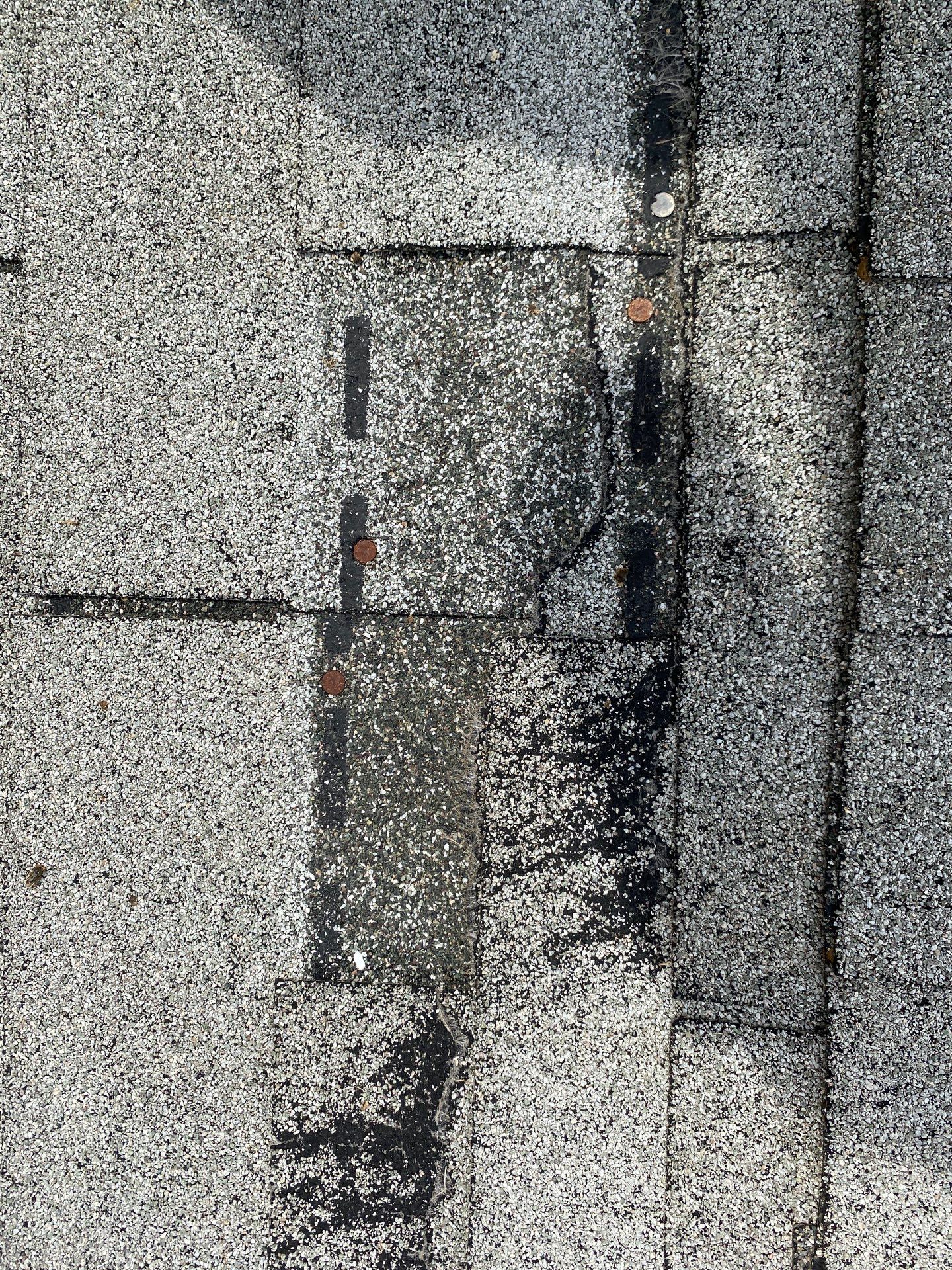 Roofing | Maynard by Mighty Dog Roofing of Greater Middlesex County