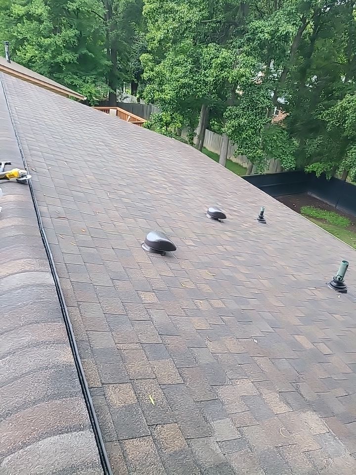 Alexandria: CertainTeed Landmark Pro Architectural Shingles in Max Def Shenandoah by RM Banning, Inc.