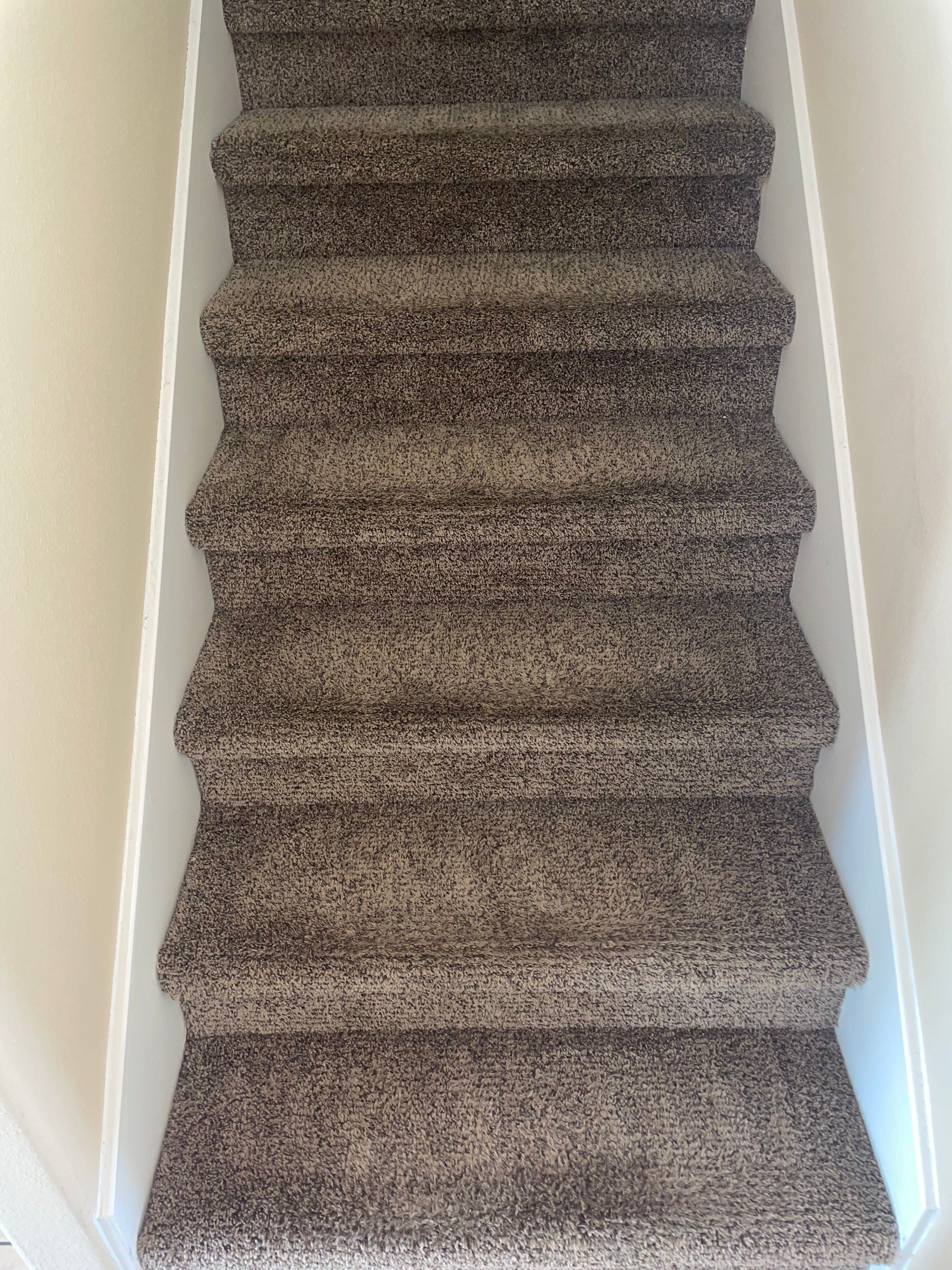 carpet cleaning on staircase deep steam cleaning dirt extraction and stain removal service in san antonio