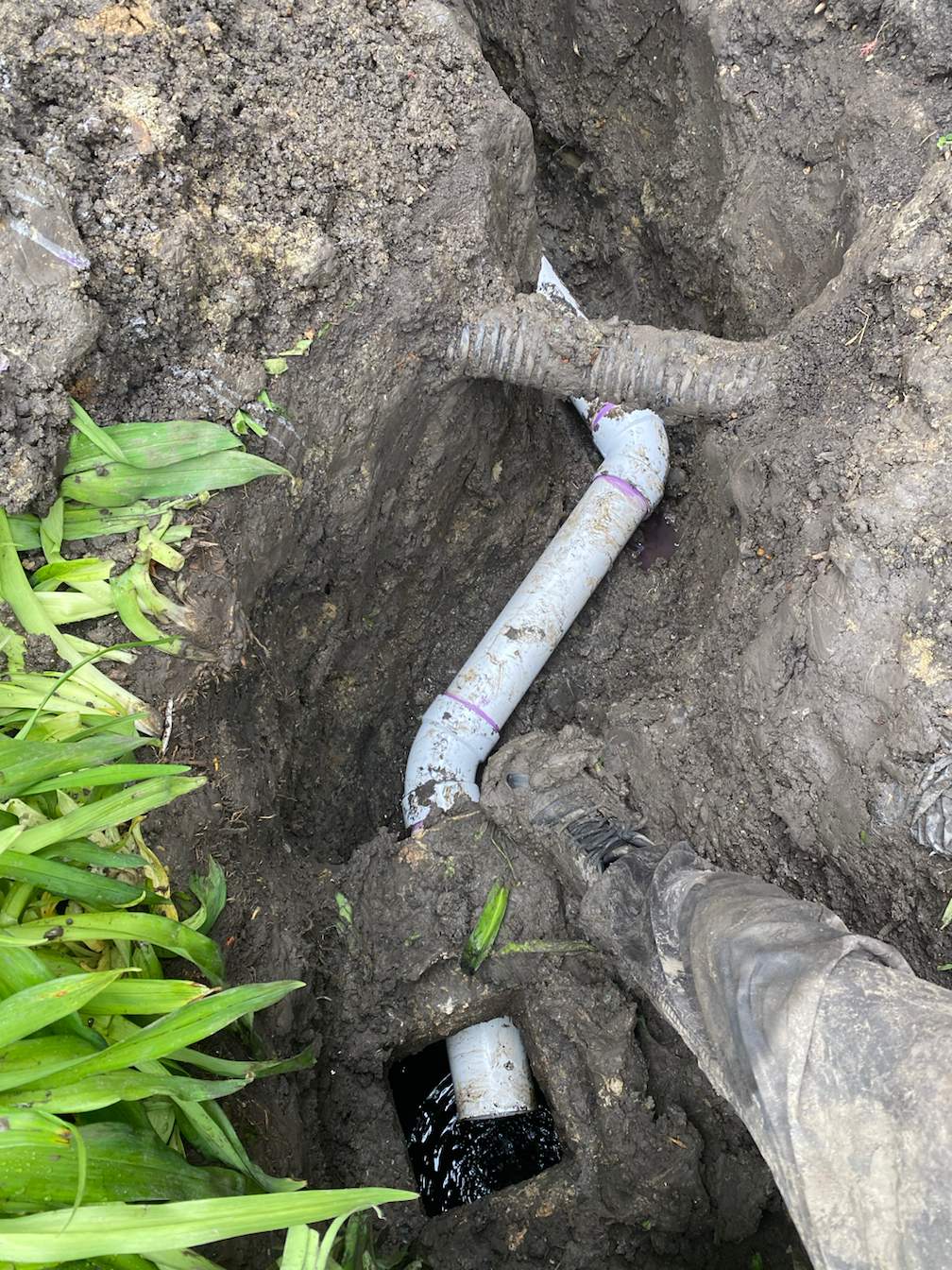 Camera Inspection and Building Drain Replacement by Allied Water Services