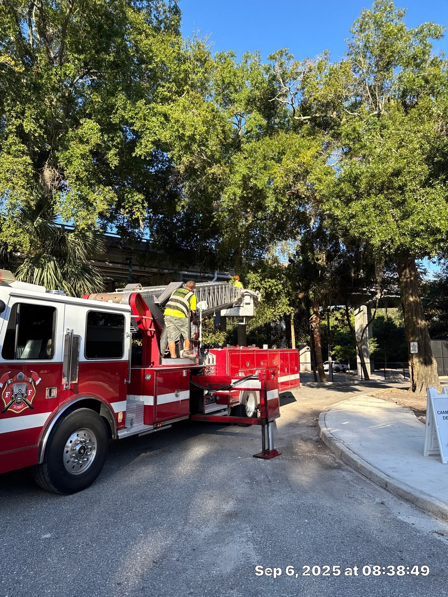 Welcome Center Tree Removal | Episcopal School of Jacksonville by ProGreen Services