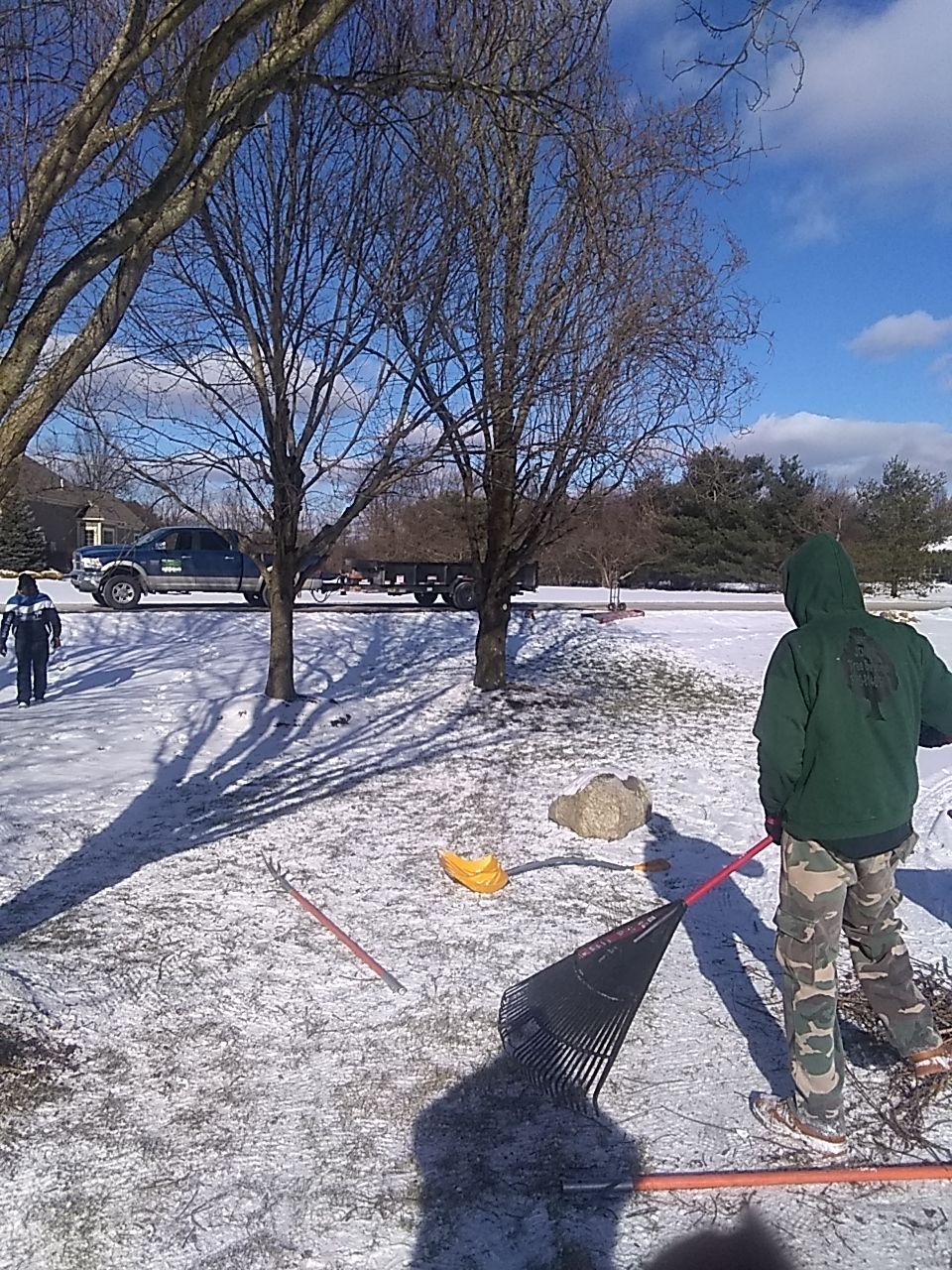 Tree Trimming using Tree Pruing by Mike Jones & Sons Tree Service LLC 