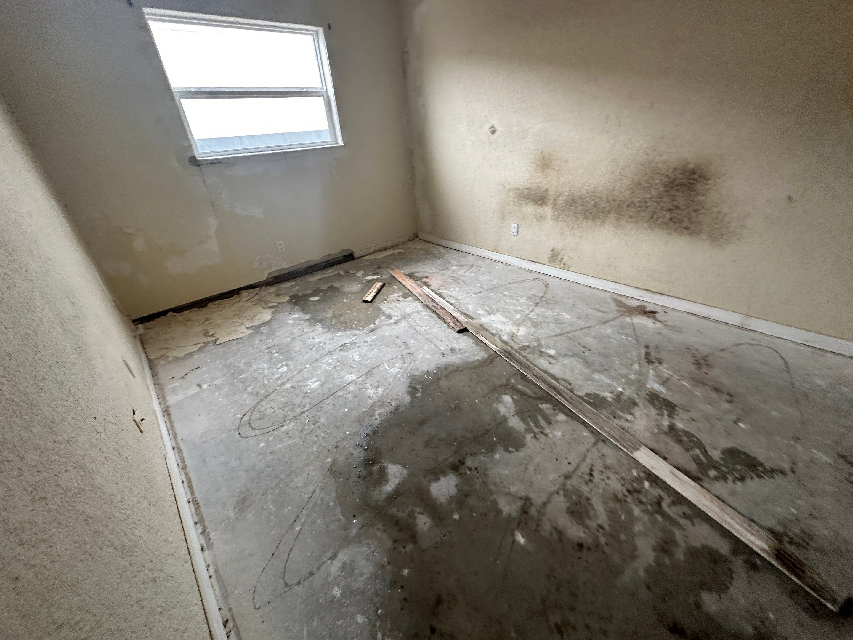 Water Damage Claim in Daytona Beach by FLAPA & KeyStone