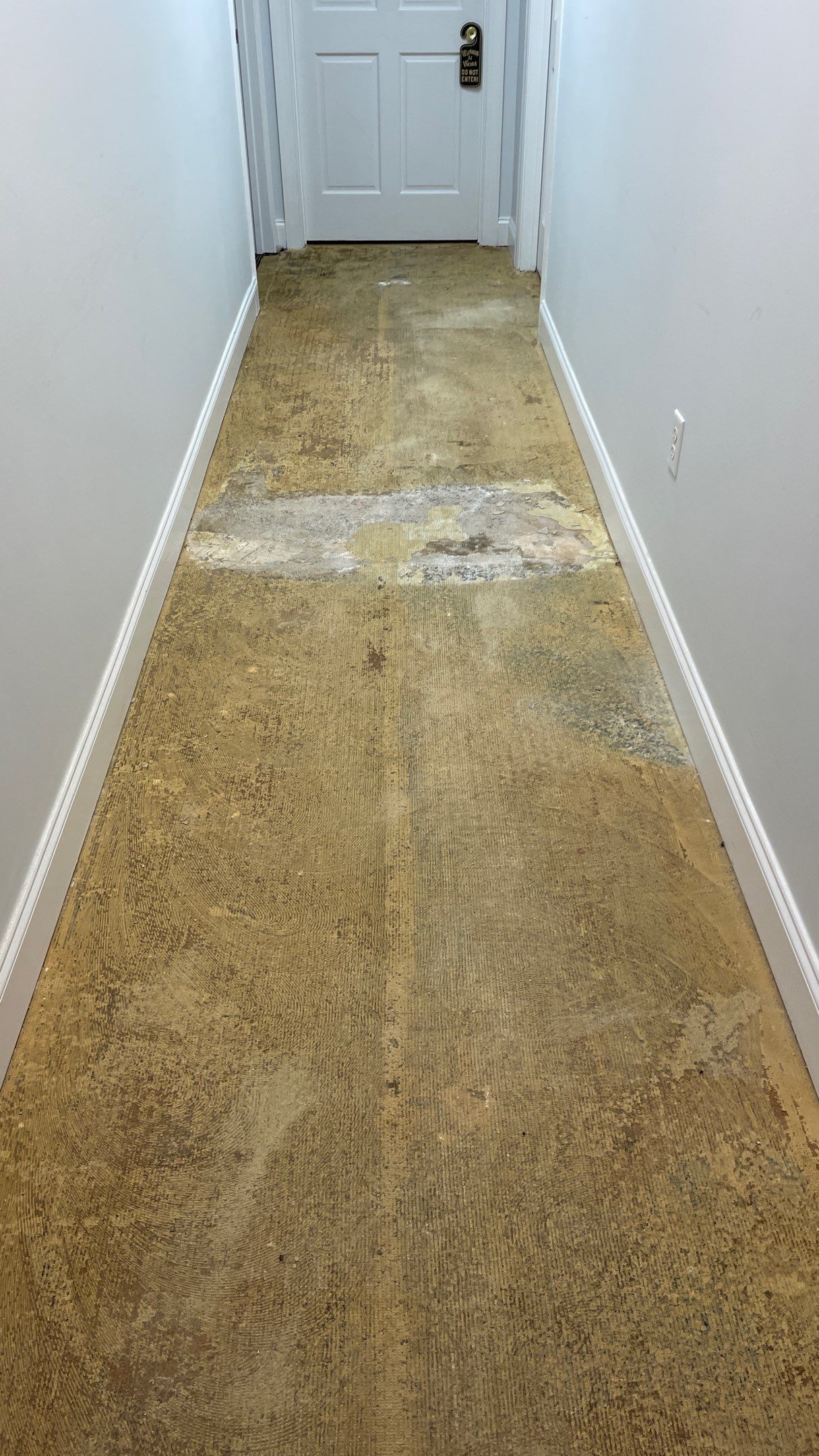 Office Remodel from Worn Out Carpet to Sleek Glued Down LVP by Footprints Floors of Coastal Carolina